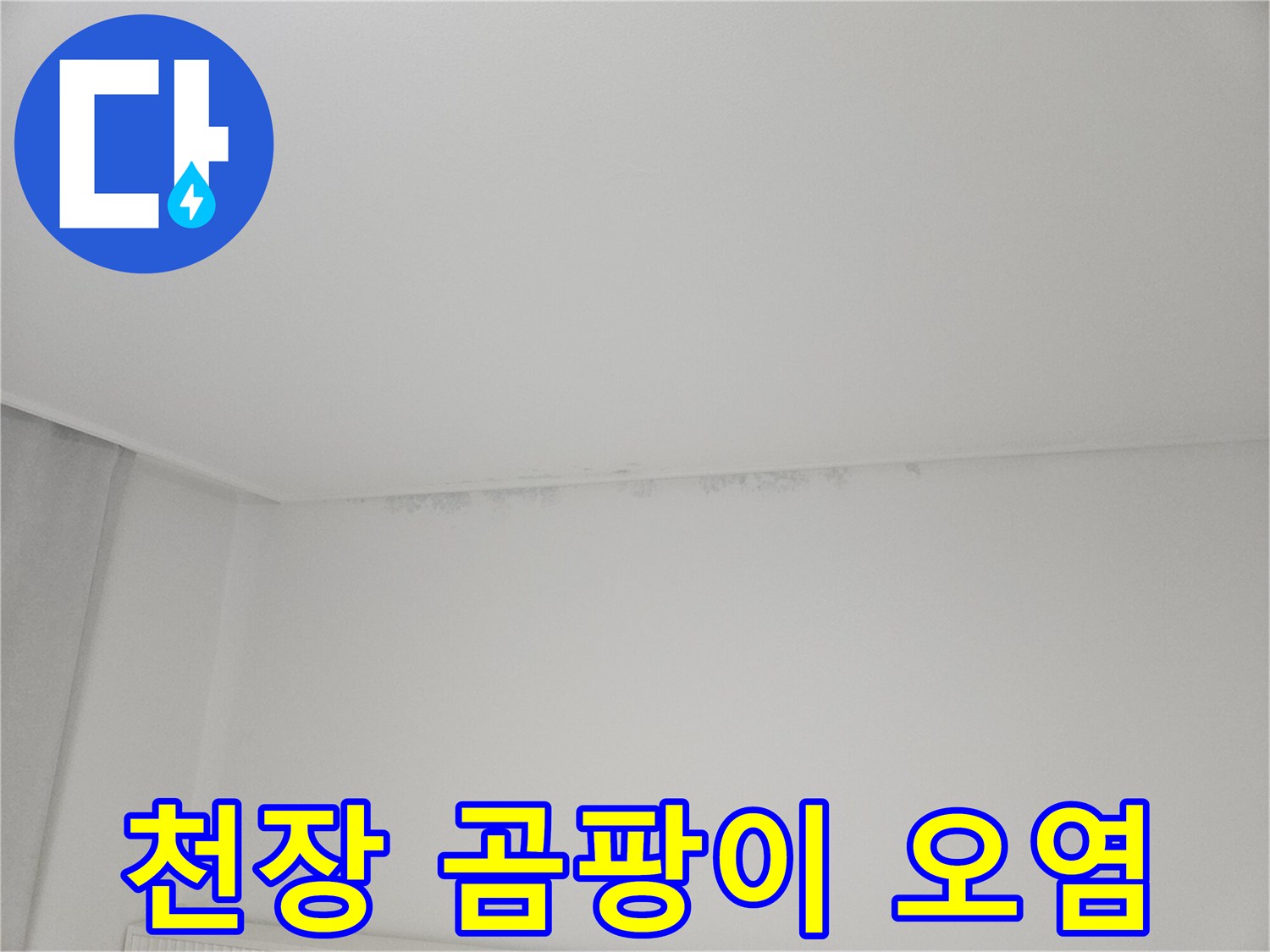 안방-천장-모서리의-물샘-흔적과-곰팡이