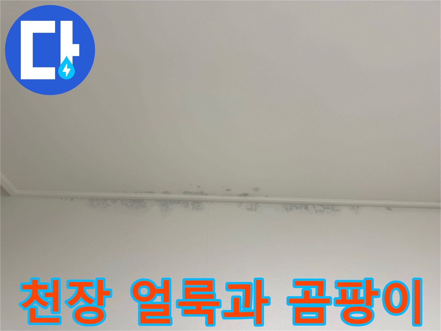 천장 몰딩을 따라 번진 누수 자국