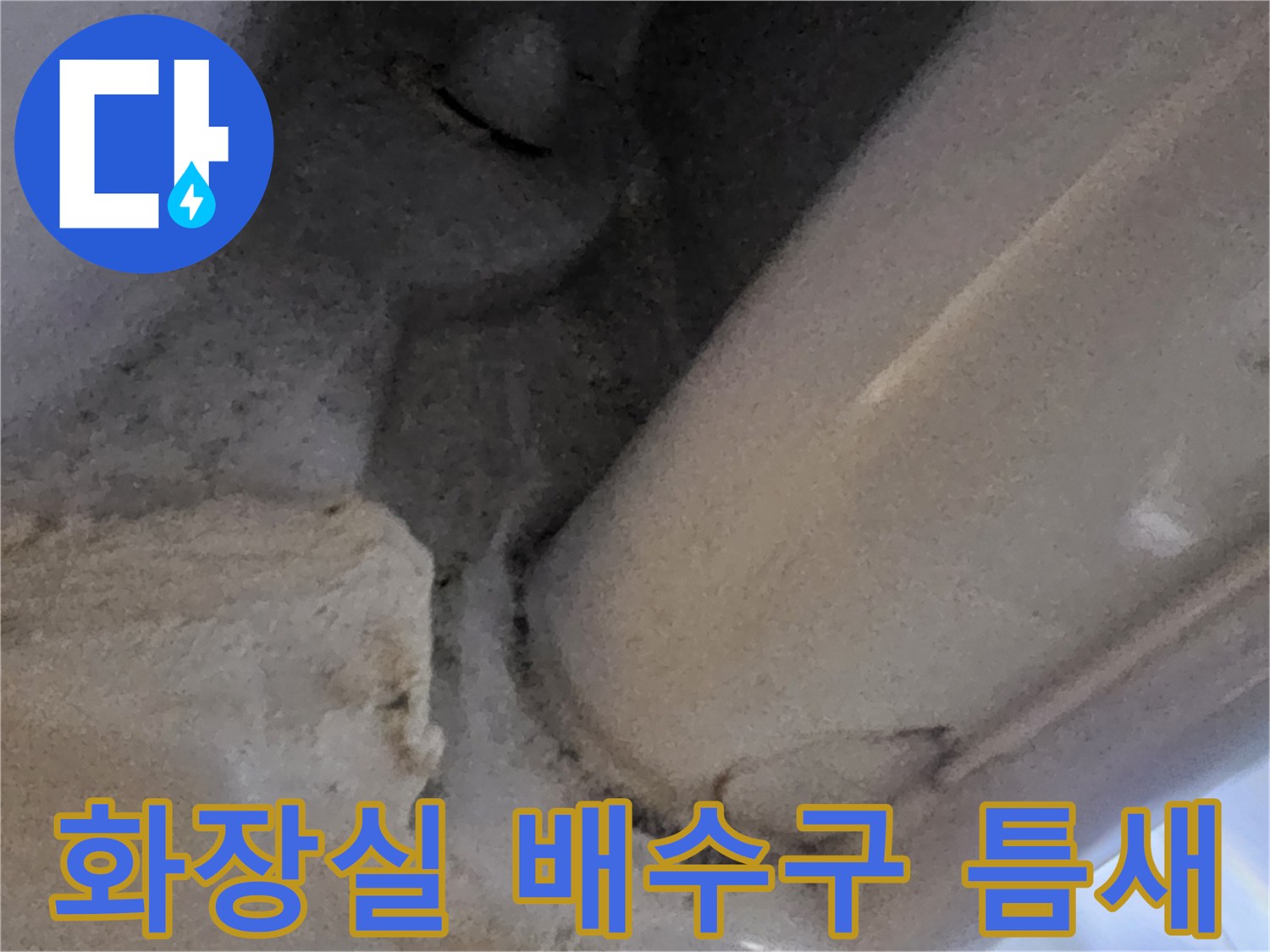 화장실-배수구-주변-타일-틈새-확인