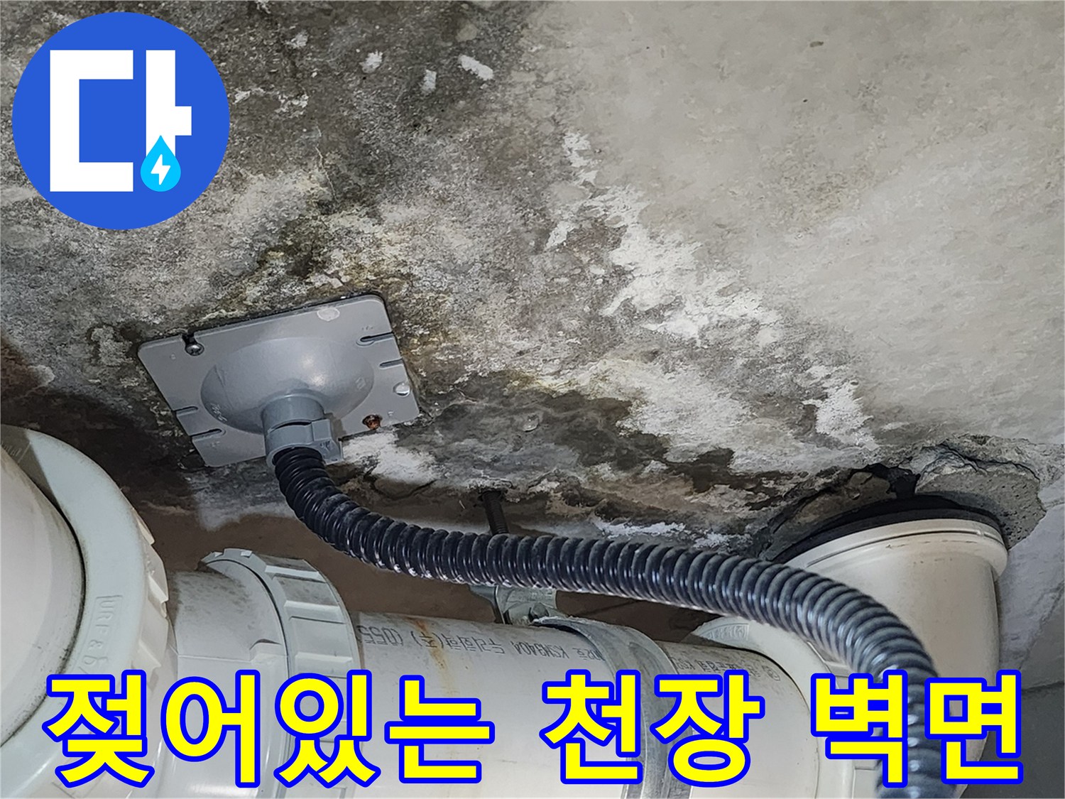습기로-인해-오염된-천장-슬라브-표면