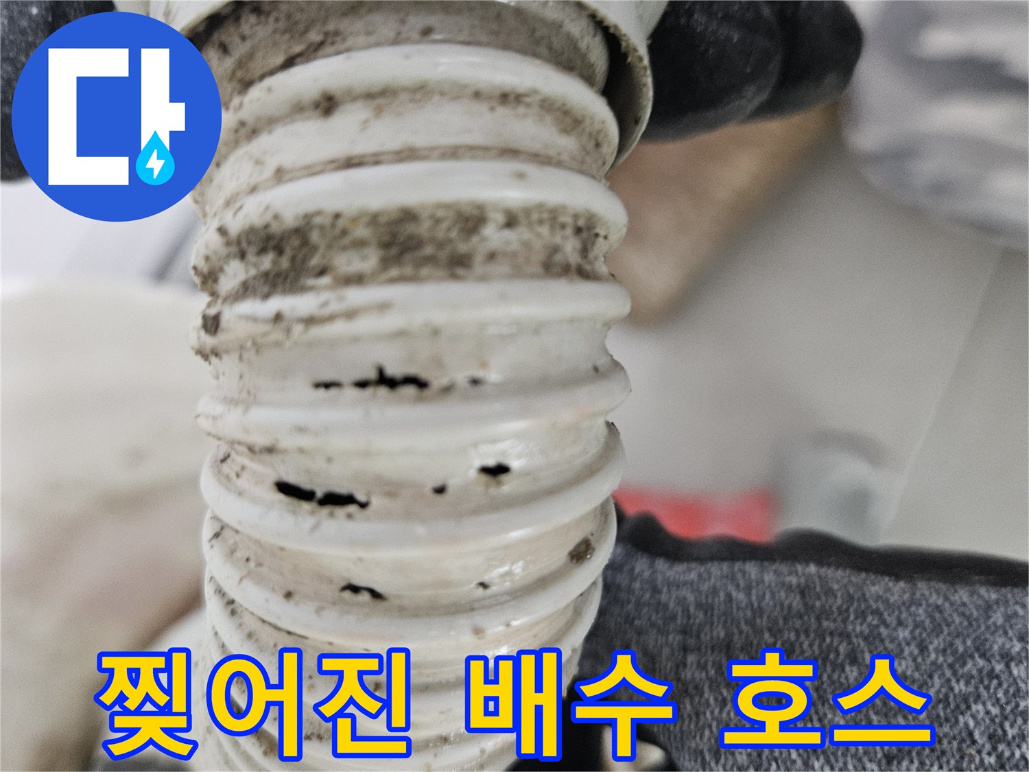 화장실-배수관-주름관-파손-부위-확인