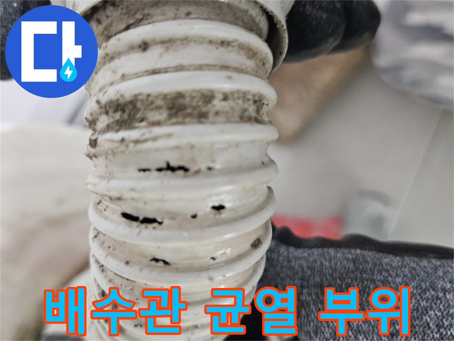 화장실-배수호스-파손-상태-확인