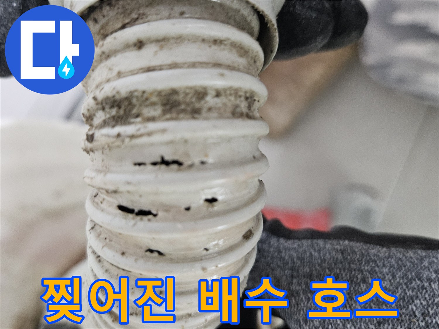 화장실-천장-내부-파손된-자바라-배수관