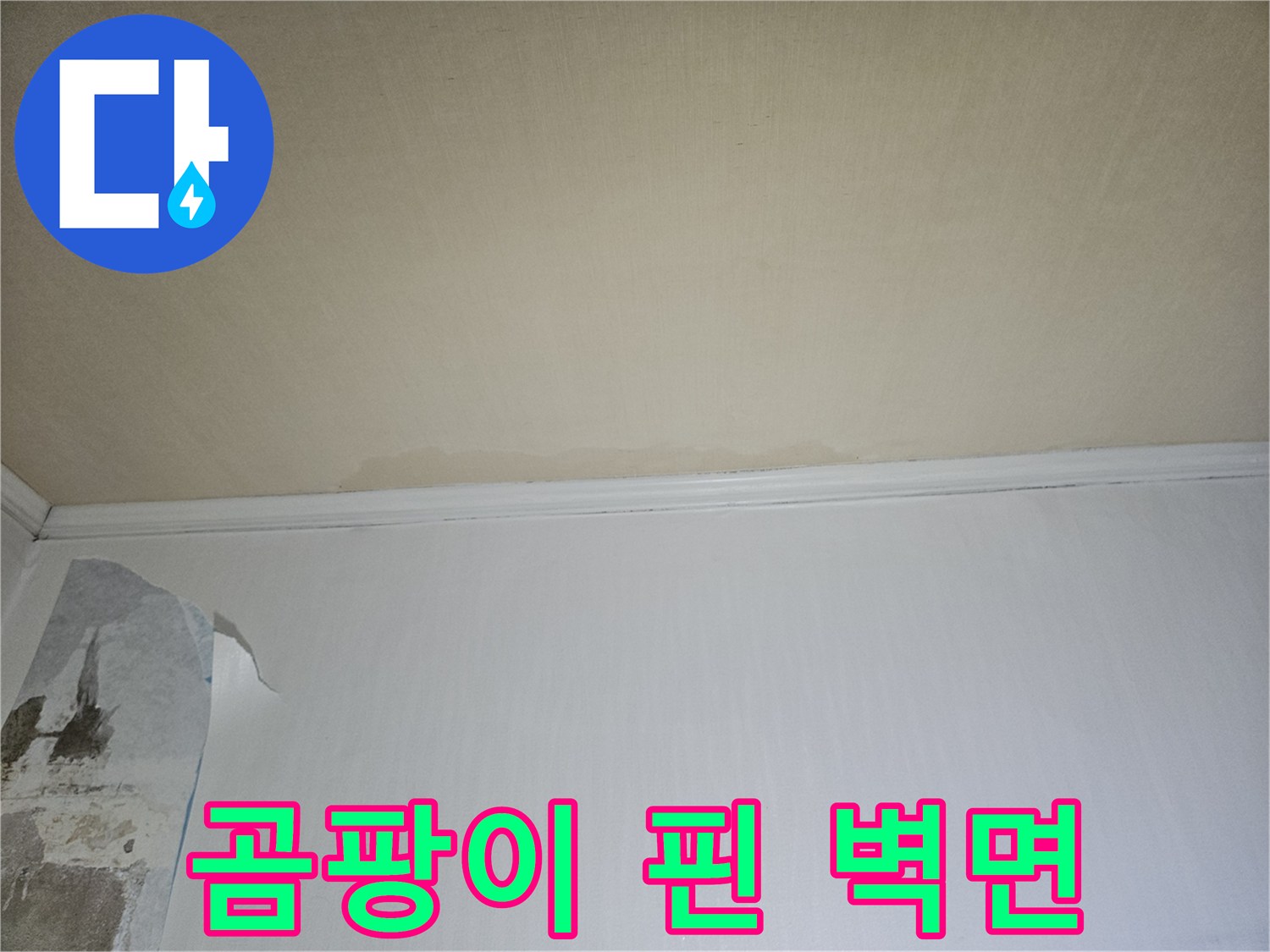 습기로 인해 곰팡이가 생기고 들뜬 하얀색 벽지