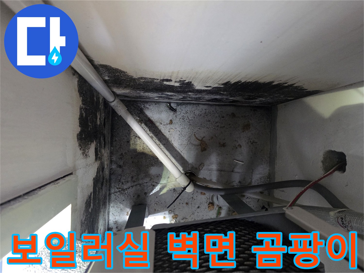 배관-연결부-주변의-축축한-곰팡이-흔적