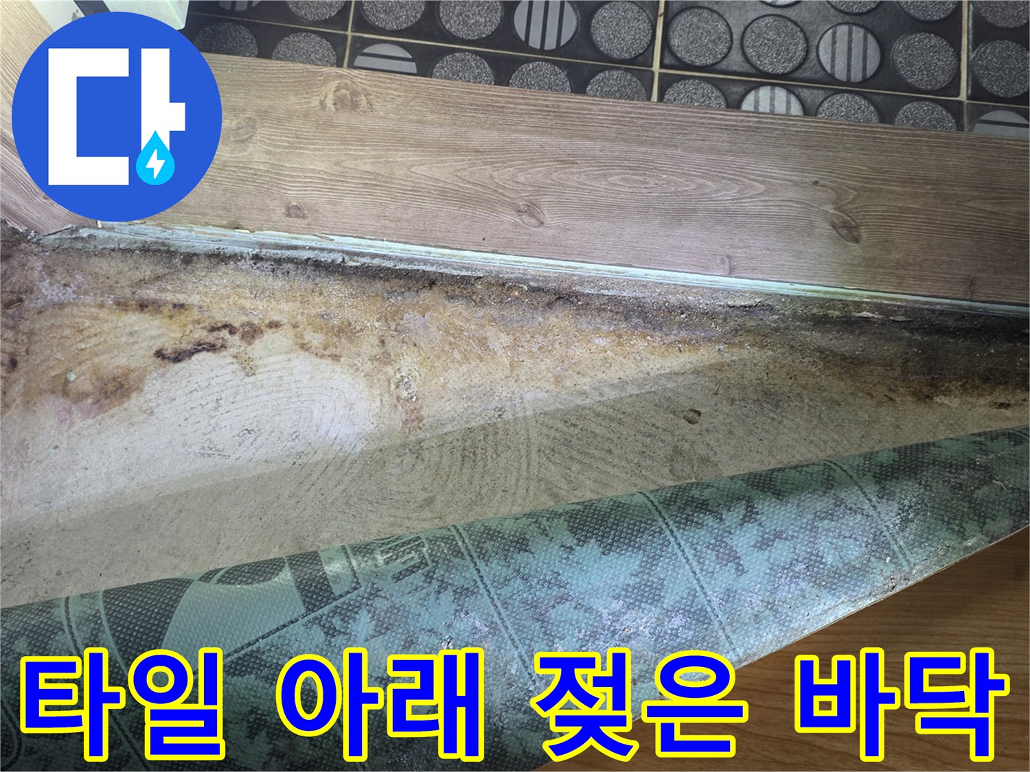 바닥-마감재-하부-습기-머금은-상태