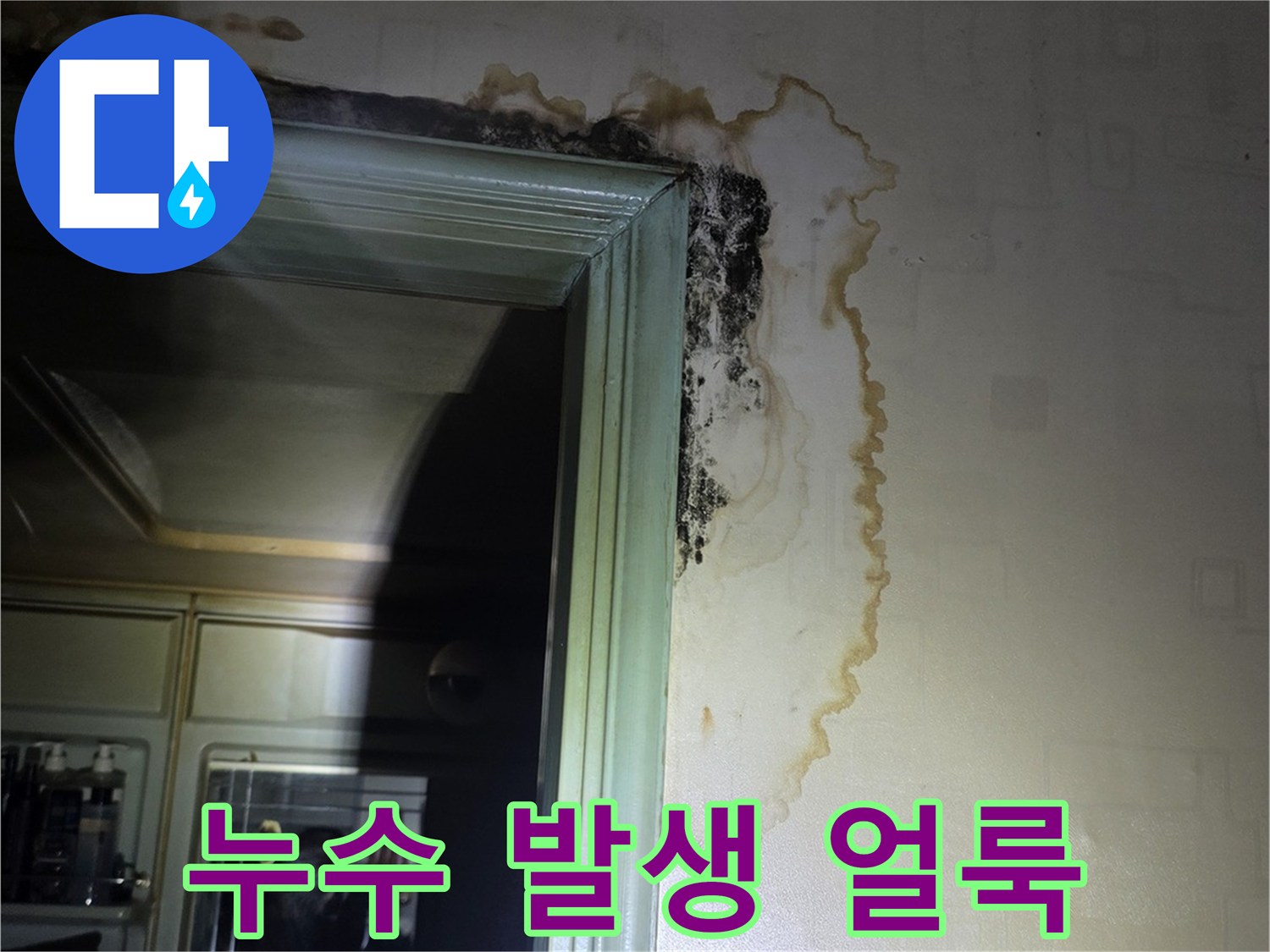 천장-벽면의-심한-물자국과-곰팡이-발생-부위