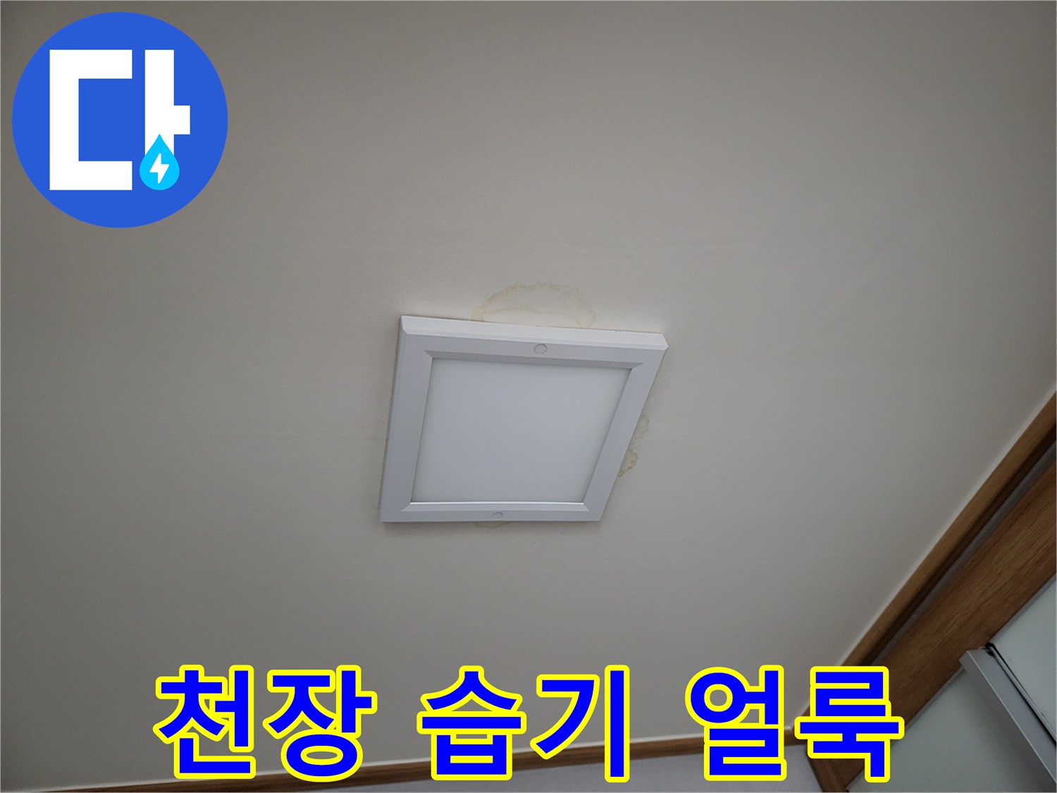 천장 매립등 주변의 젖은 흔적