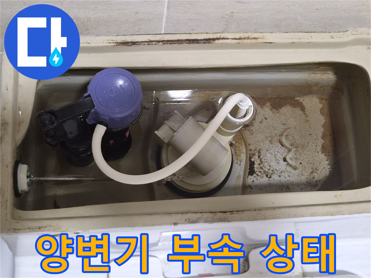 물때가 낀 양변기 탱크 내부의 필밸브와 호스