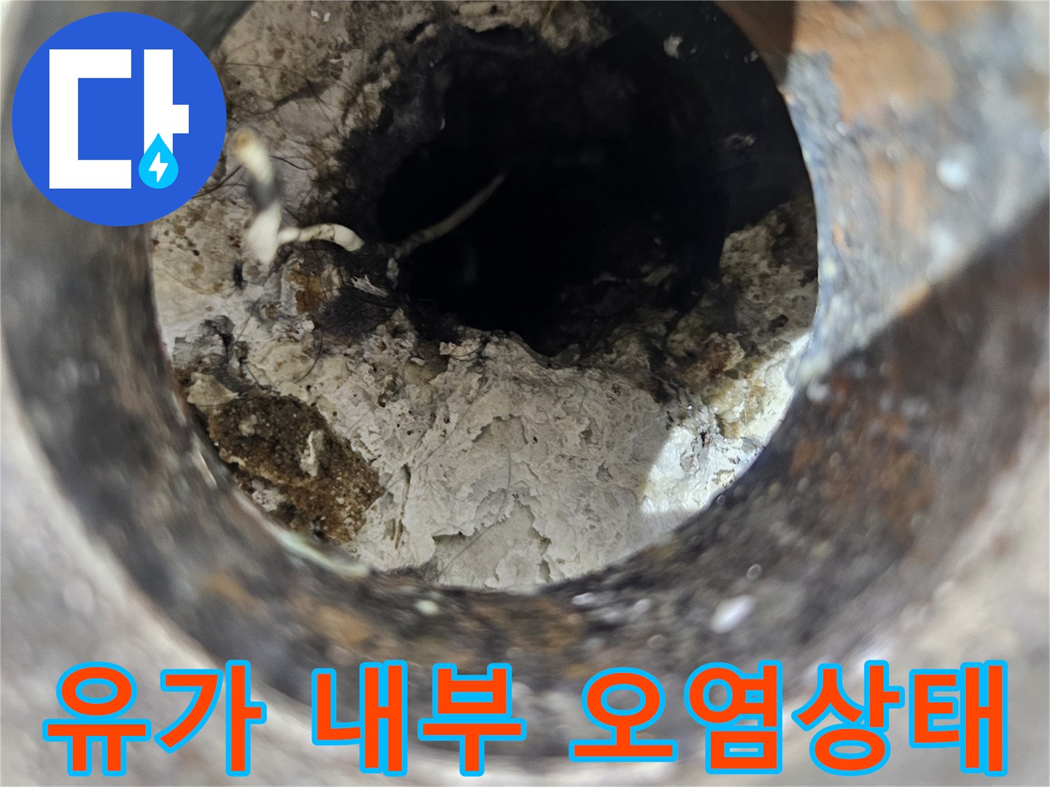 배수구-안쪽의-축축한-이물질과-잔해물