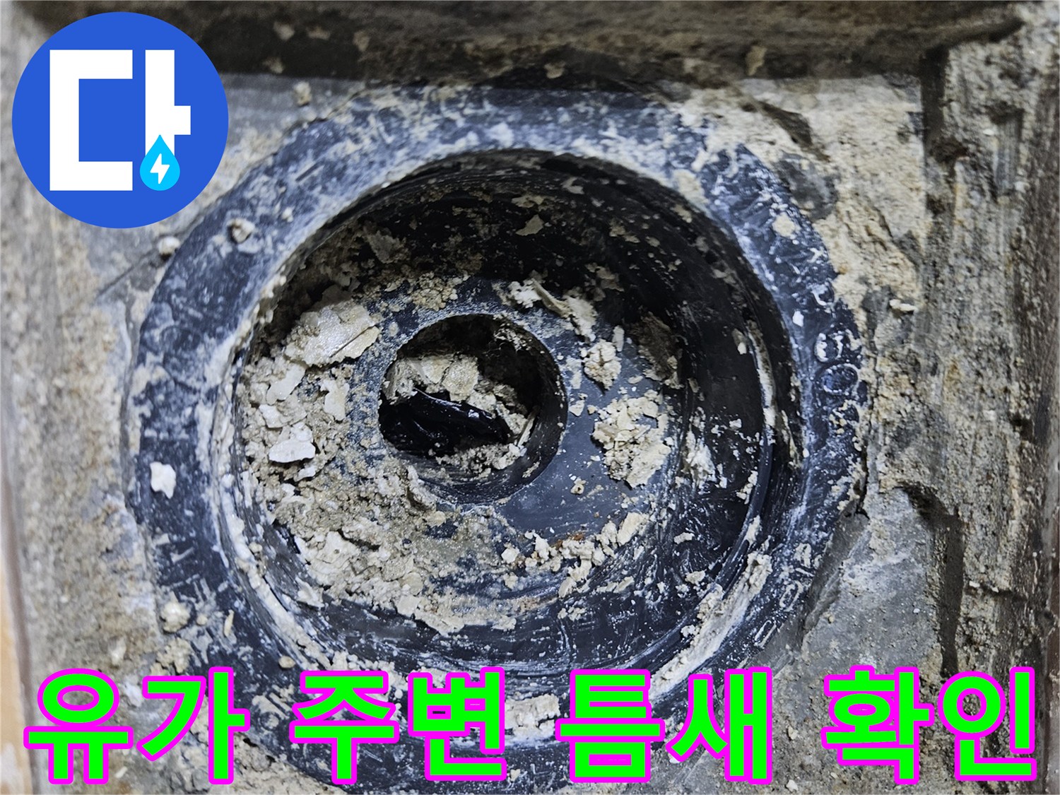배수구-유가-주변-틈새-및-방수층-상태