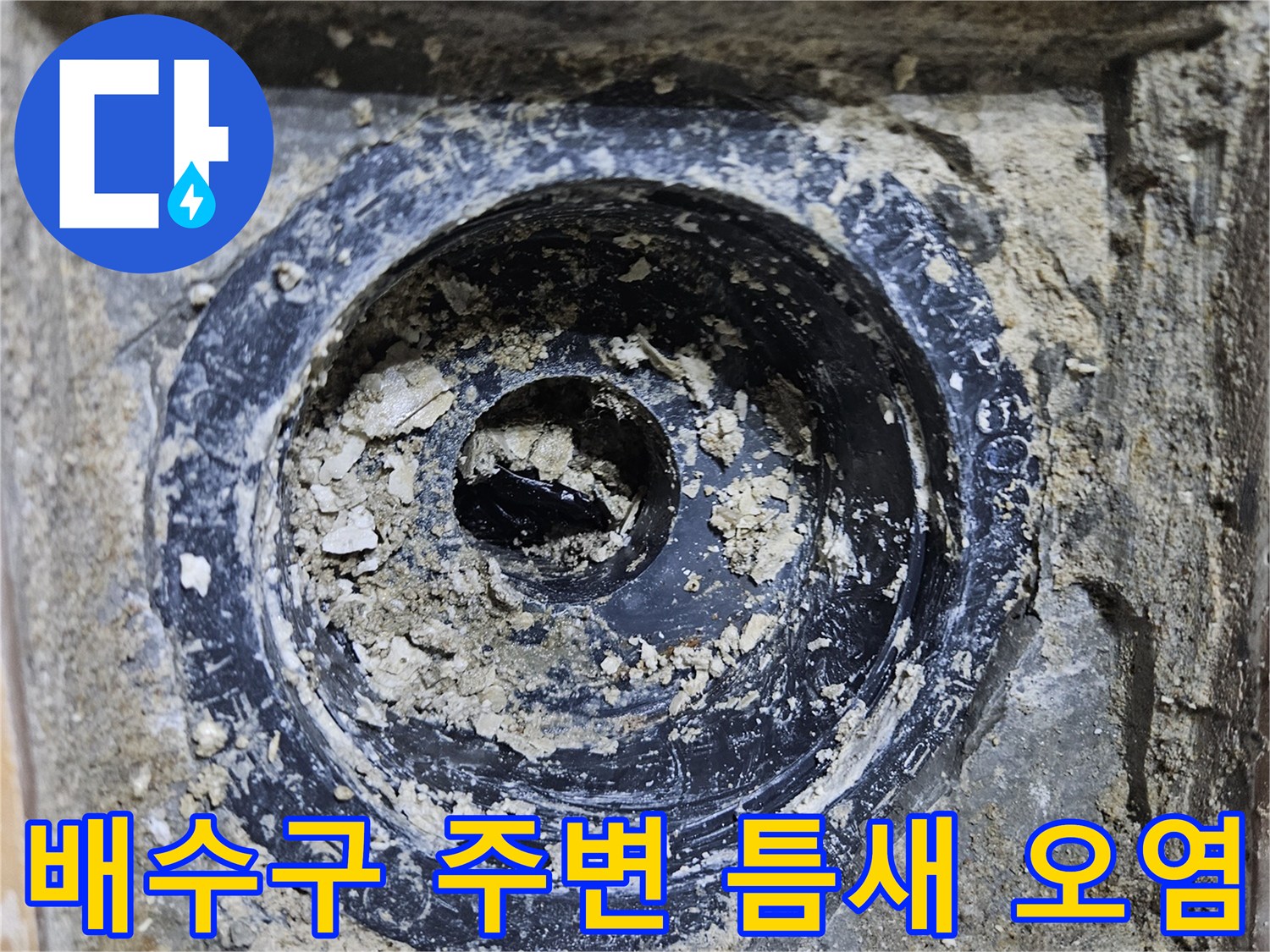 배수구-주변-틈새-및-이물질-축적-현황