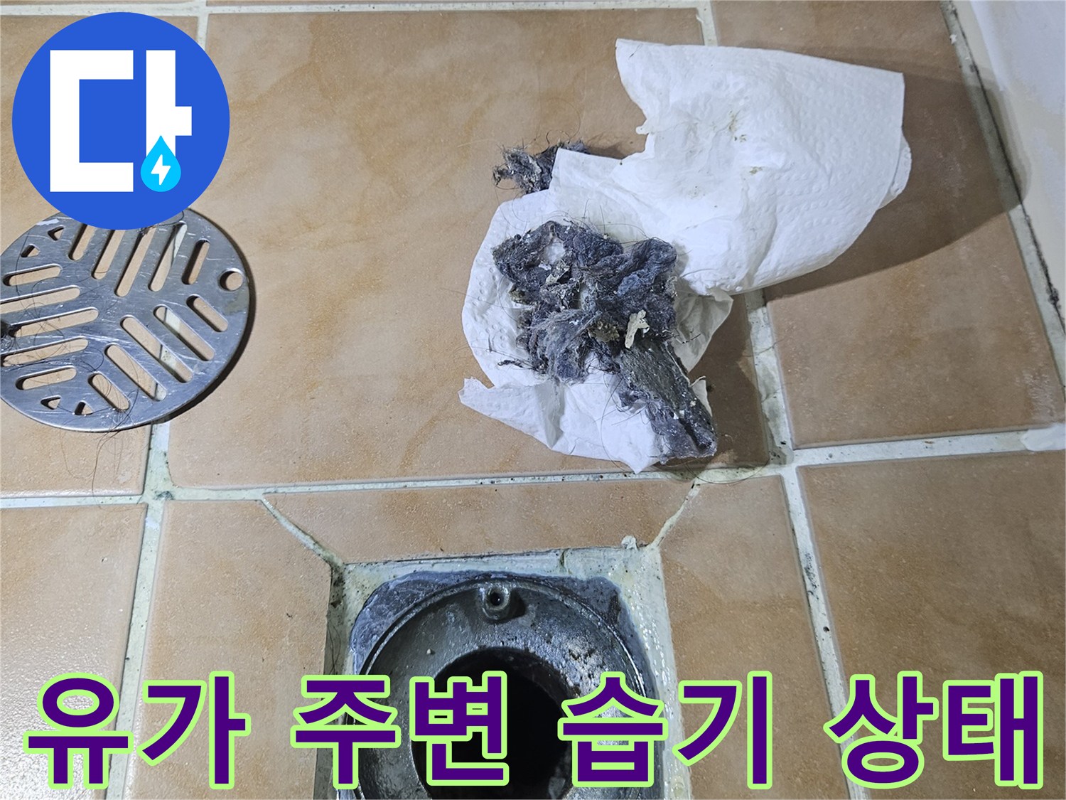 습기가-머금어진-욕실-배수구-및-타일-틈새