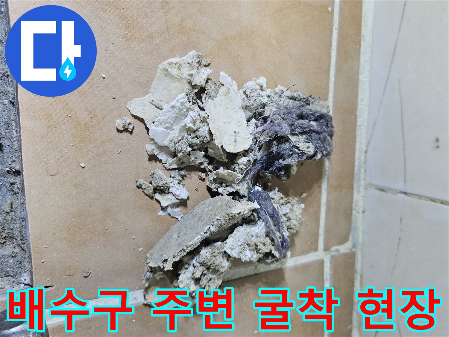 욕실-배수구-주변-방수층-결함-확인-현장