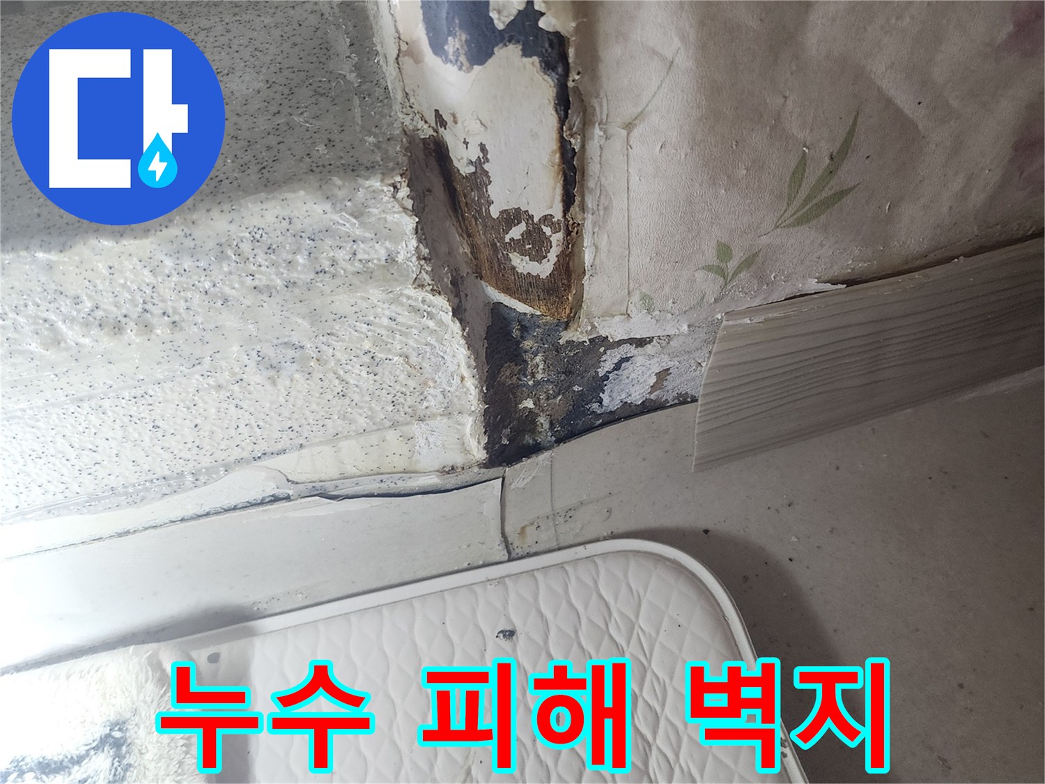 물기에-젖어 들뜬 문틀 주변 벽지면
