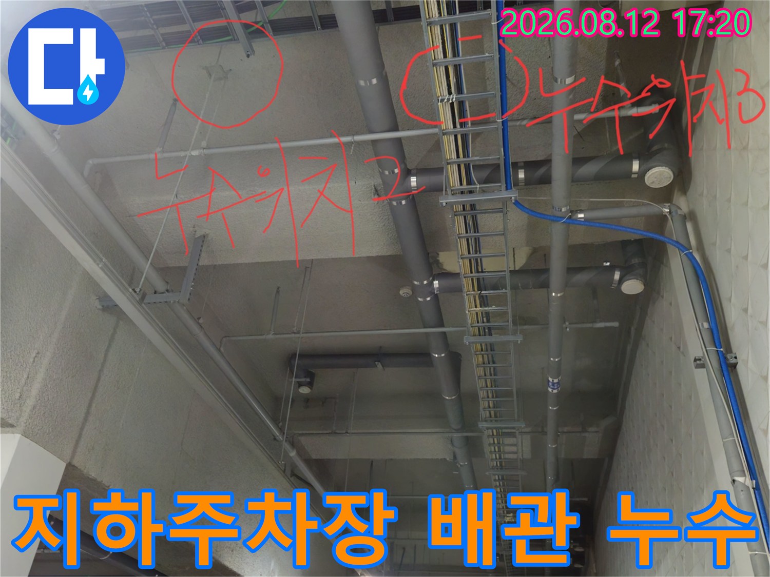 과천 별양동 상가 지하주차장 천장 배관 누수 지점 확인
