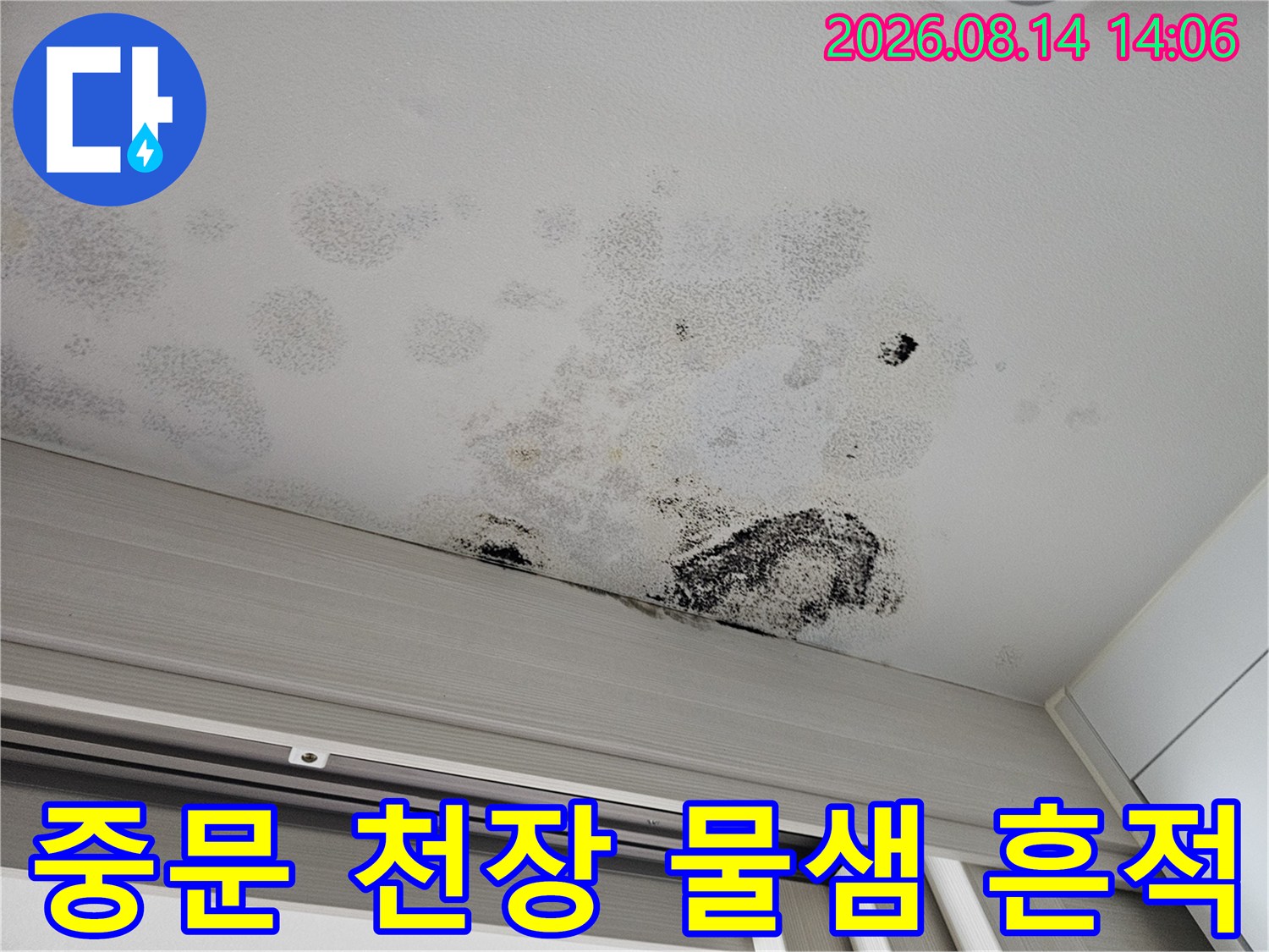 넓은 범위로 퍼진 아파트 천장 누수 오염 부위