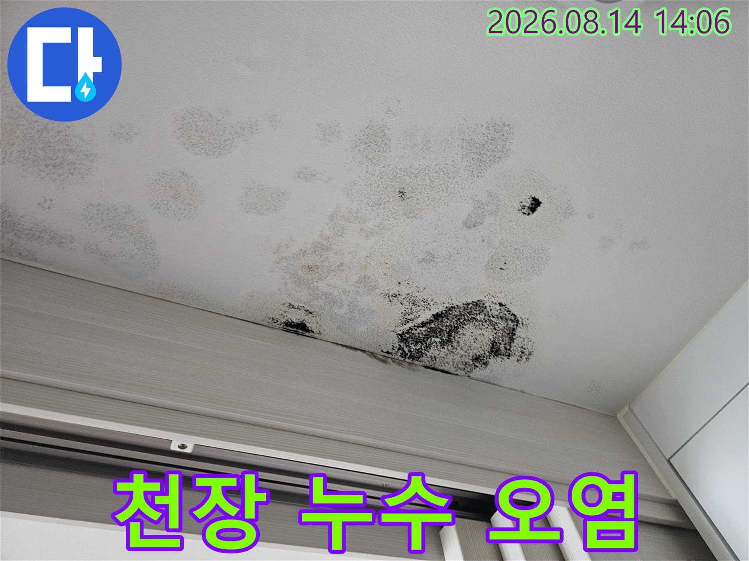 중문 천장의 광범위한 물샘 얼룩과 곰팡이