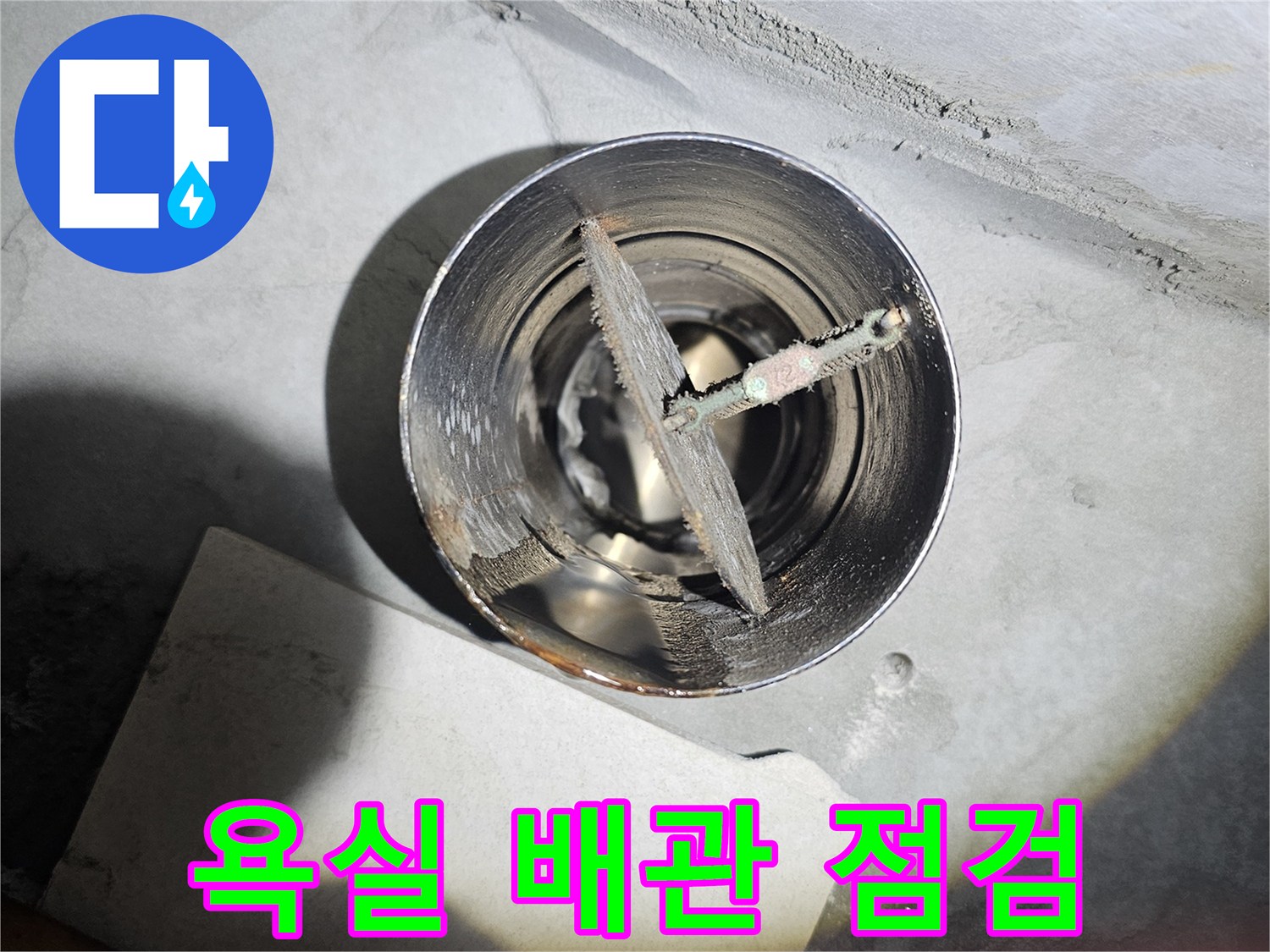 배수구-주변-틈새와-배관-내부-상태-점검