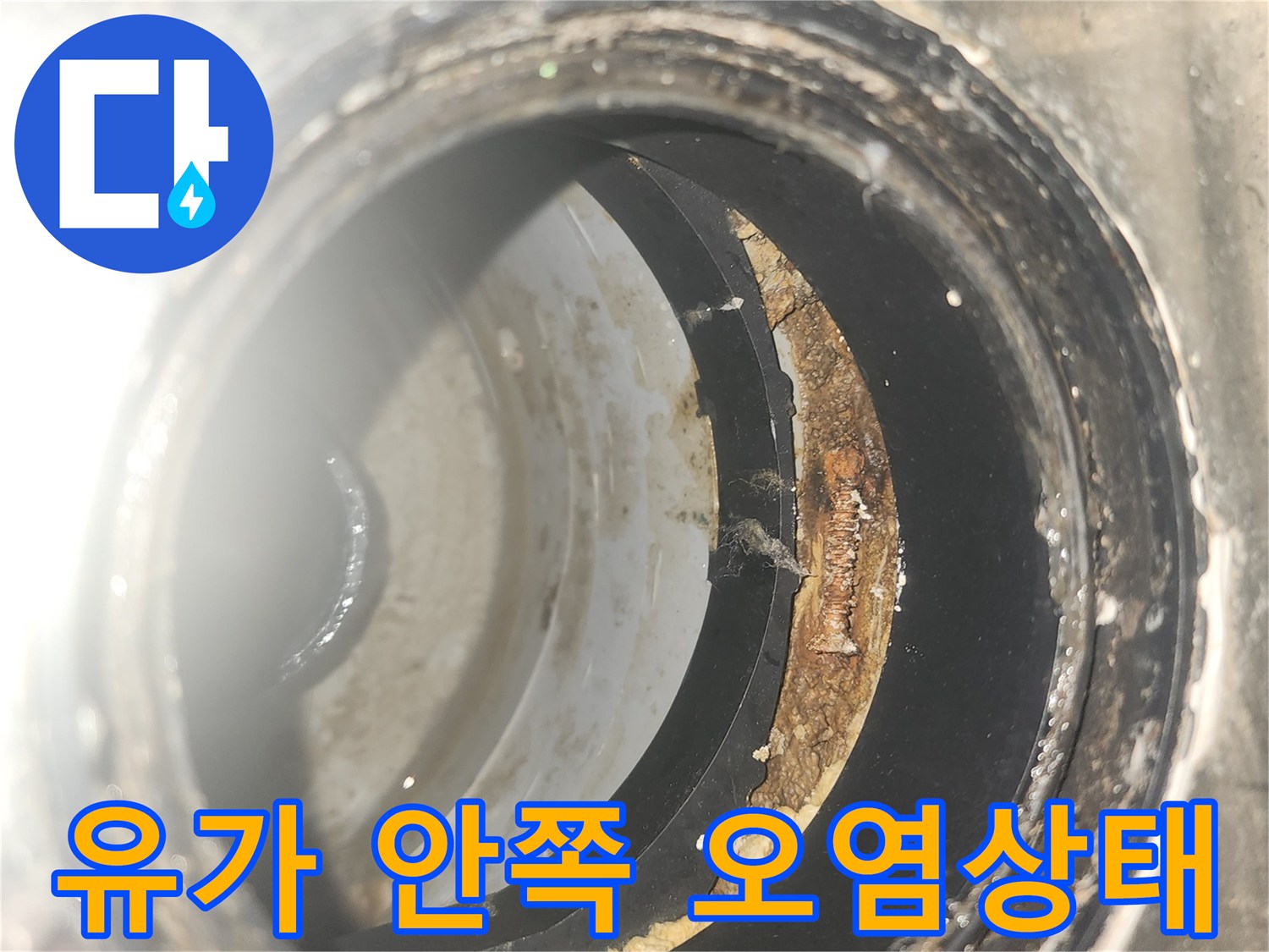 배수구-내부-방수층-파손-및-오염