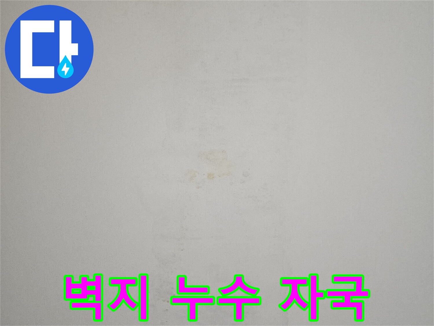 천장-벽지-사이로-번진-물자국