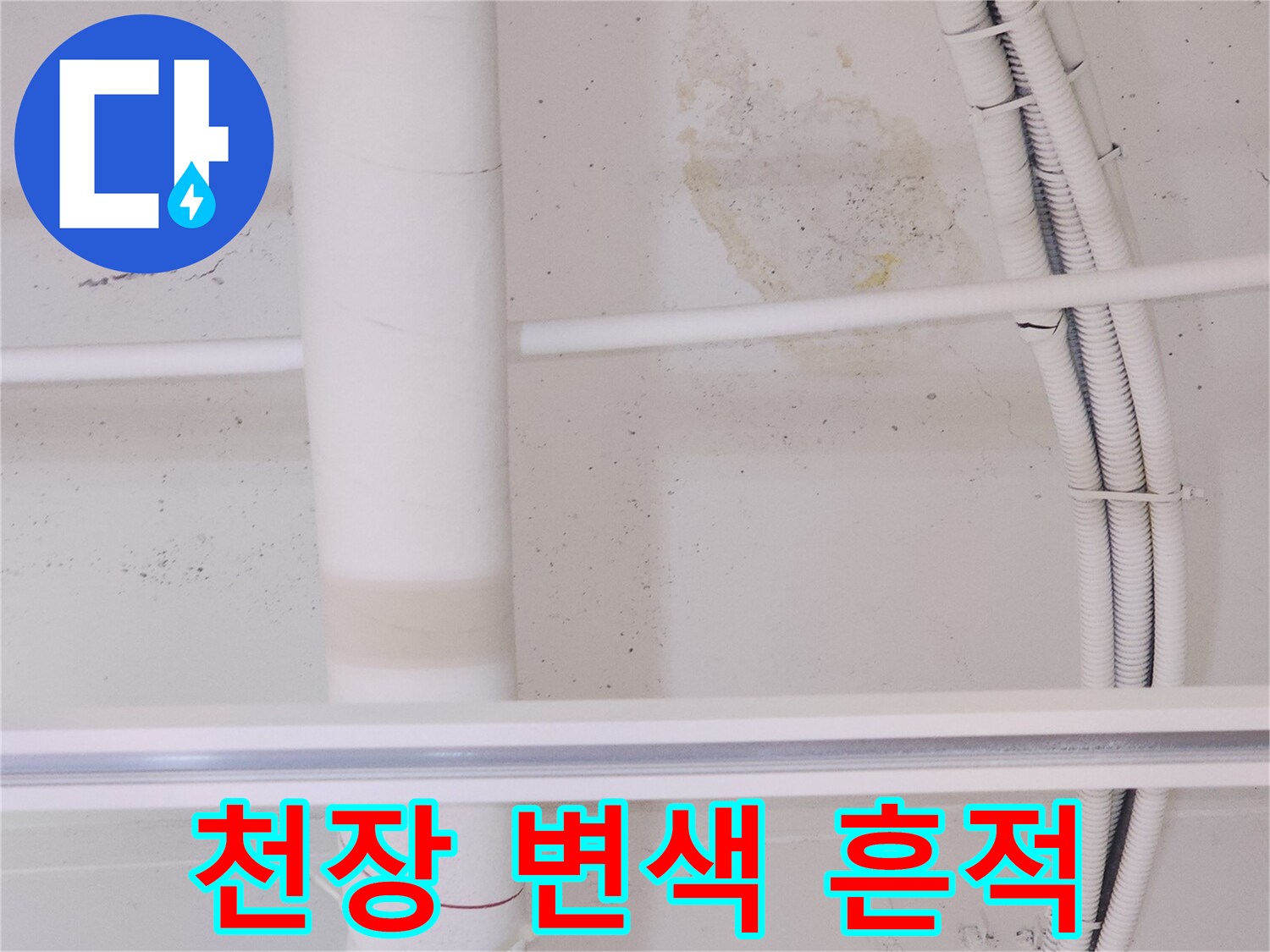 식당-아래층-천장-변색된-누수-흔적