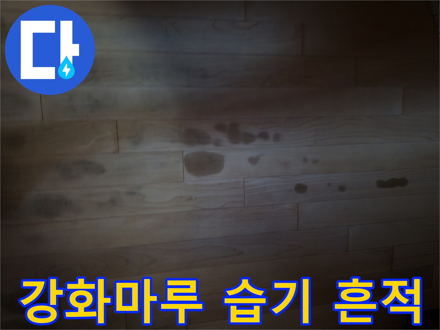 물기에_젖어_검게_얼룩진_마루_바닥