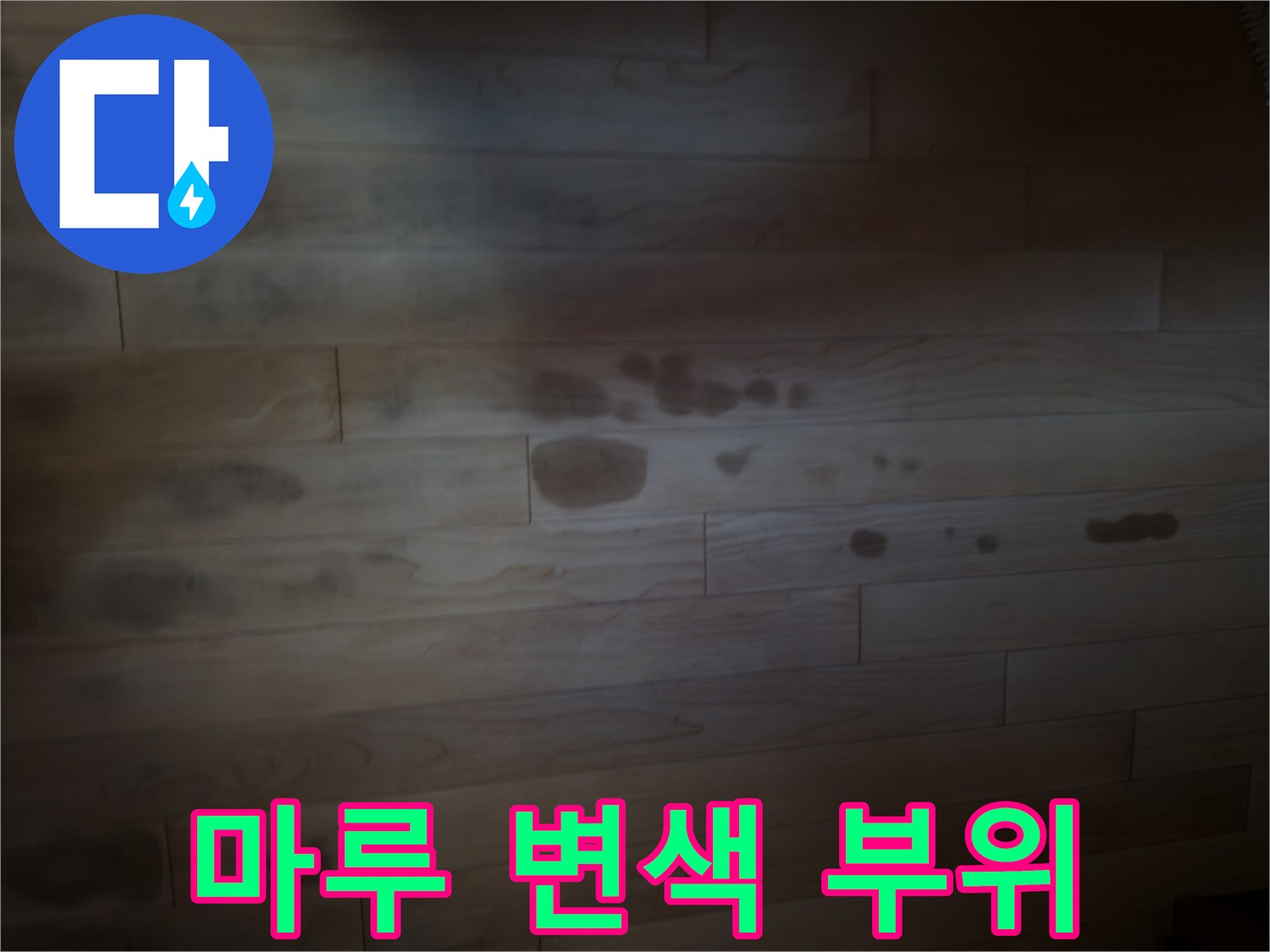 물샘으로
오염된
강화마루
표면