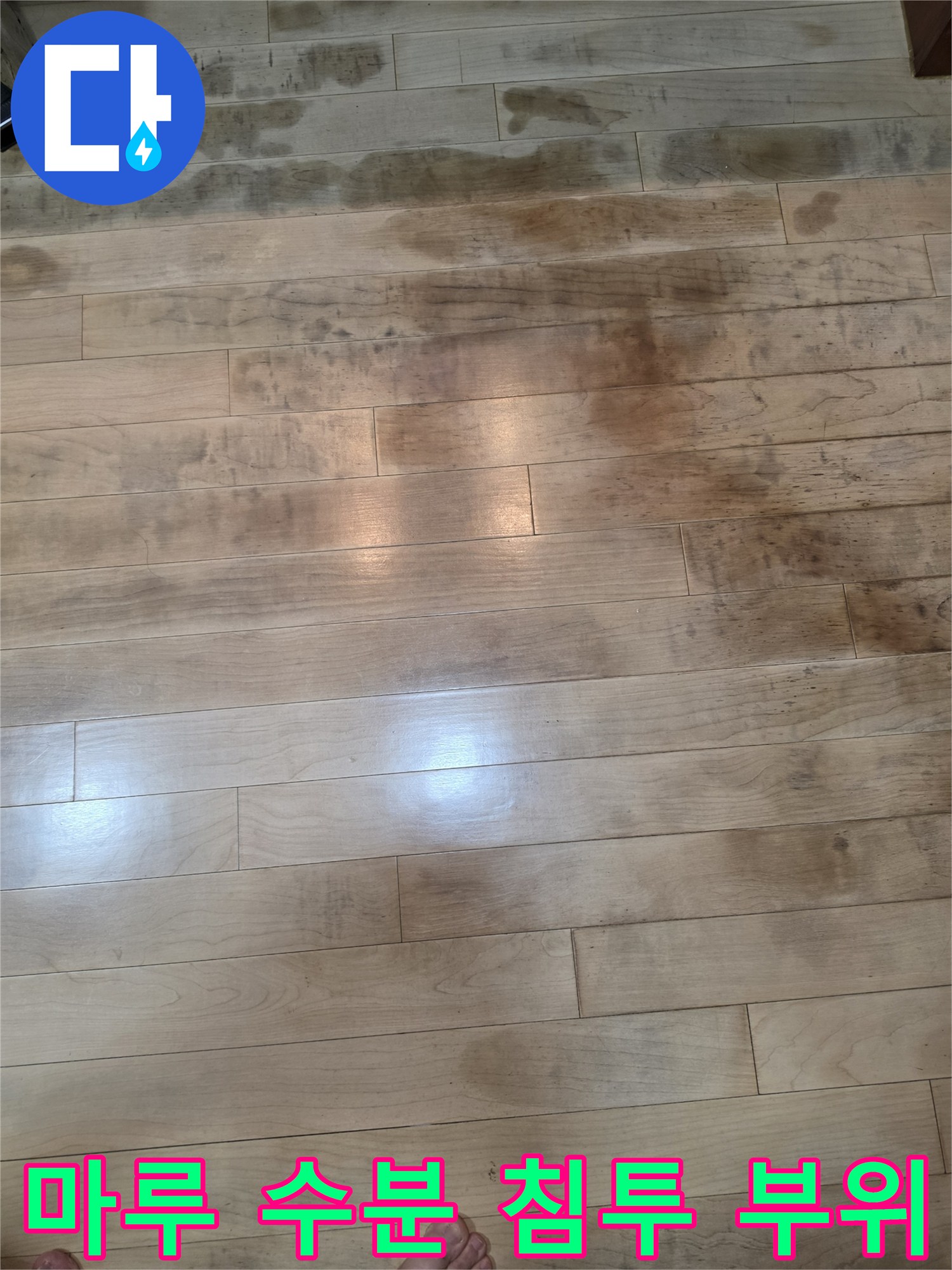 영등포 현장-얼룩진 강화마루 바닥재