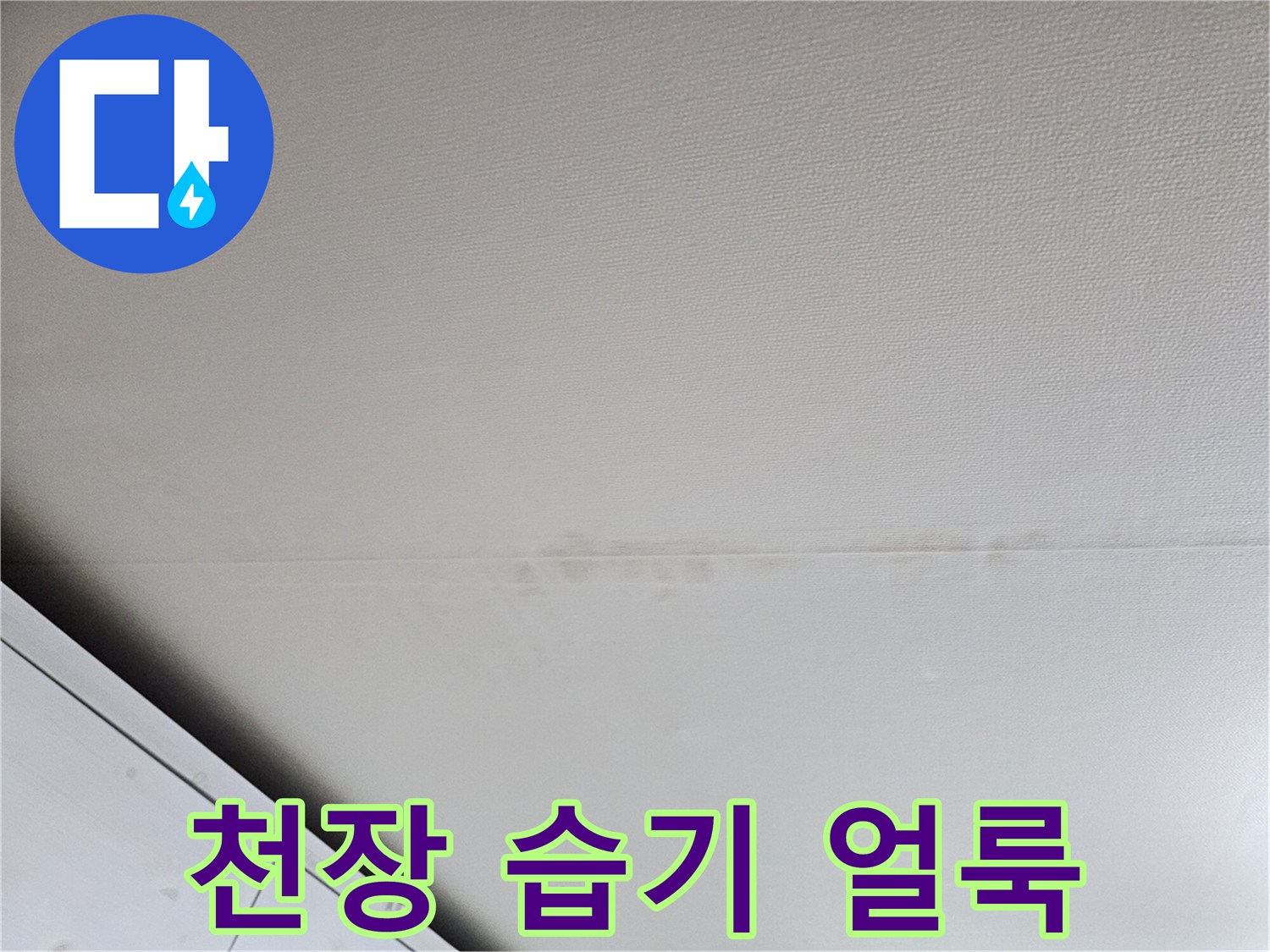 누수-진단-중-발견된-천장-얼룩