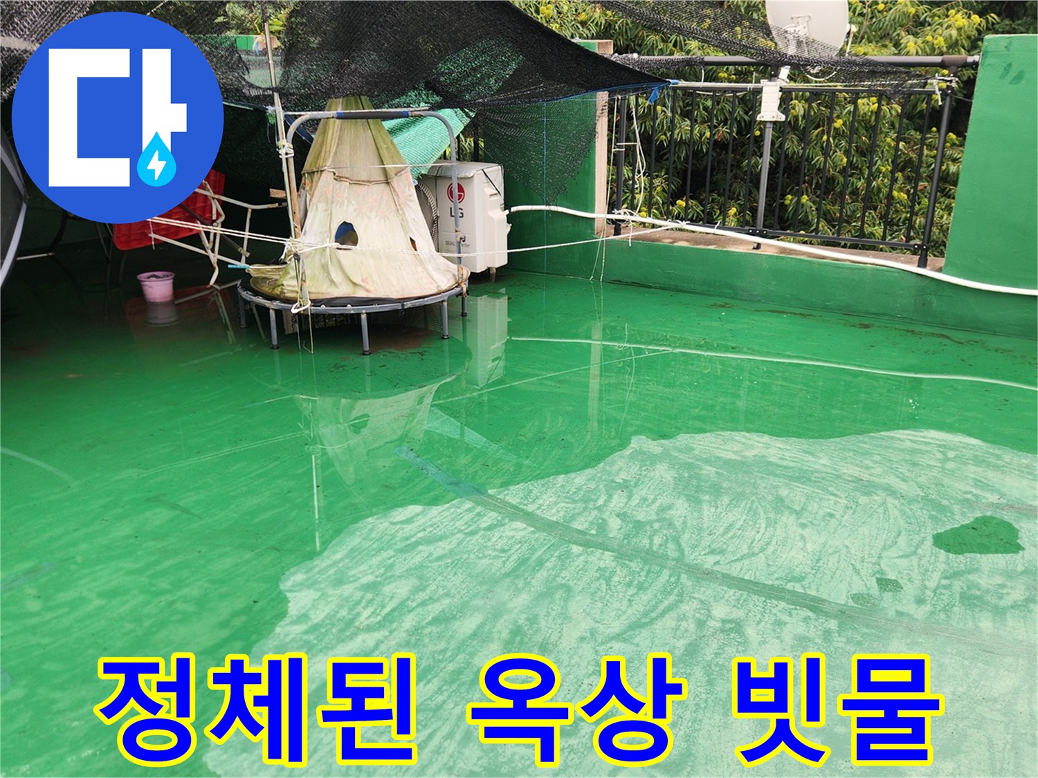 초록색 방수층-물이 고여 있는 상태의 옥상