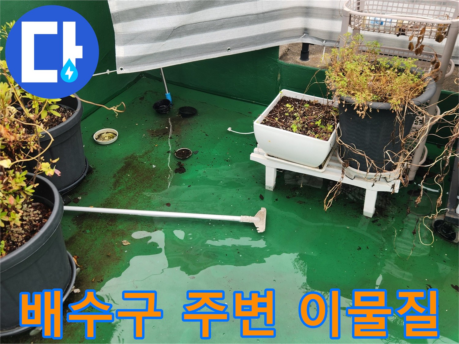 화분 뒤쪽 배수구로 물이 고여 있는 현장 사진