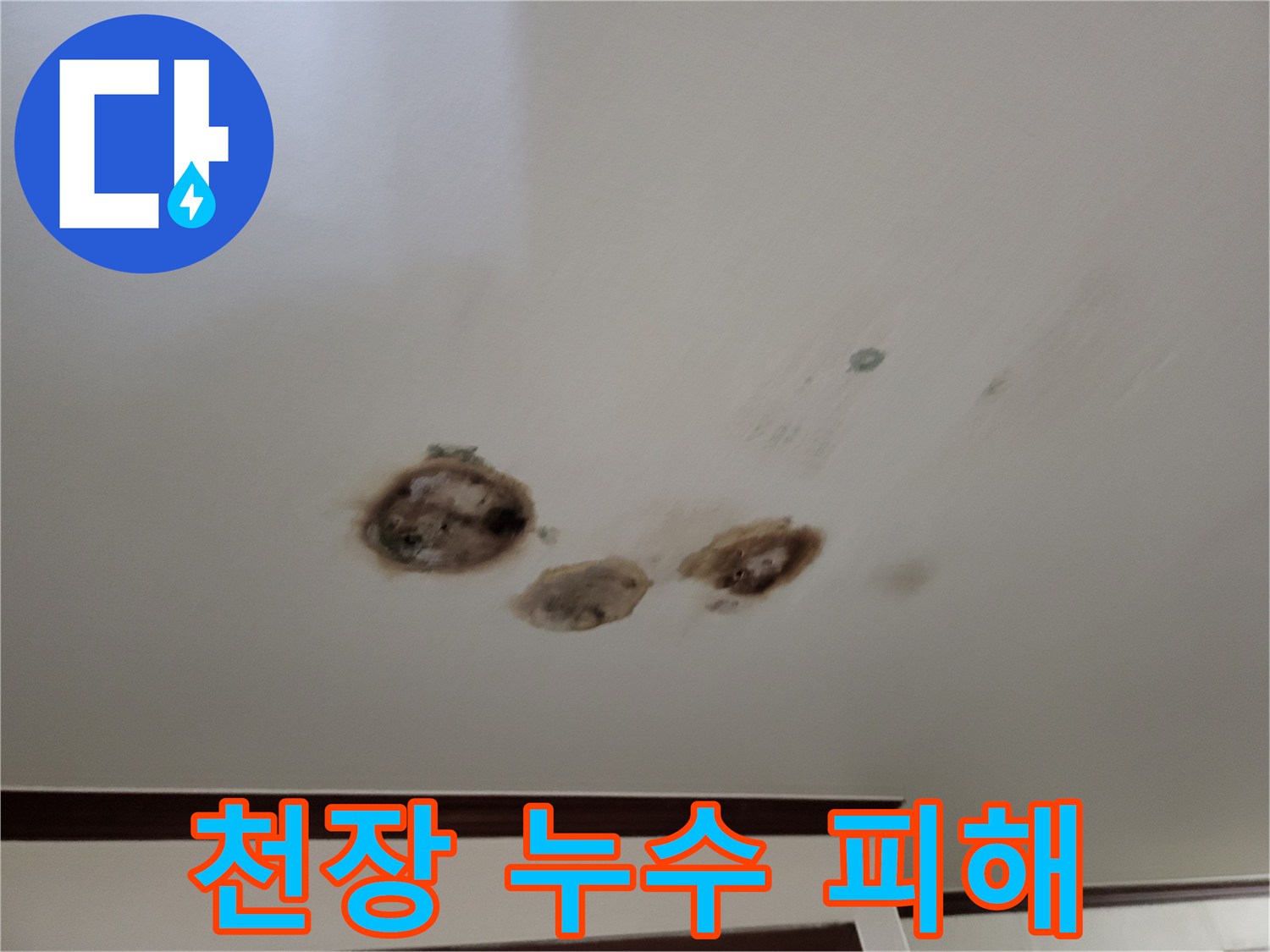 천장-마감재-중앙에-발생한-커다란-누수-흔적