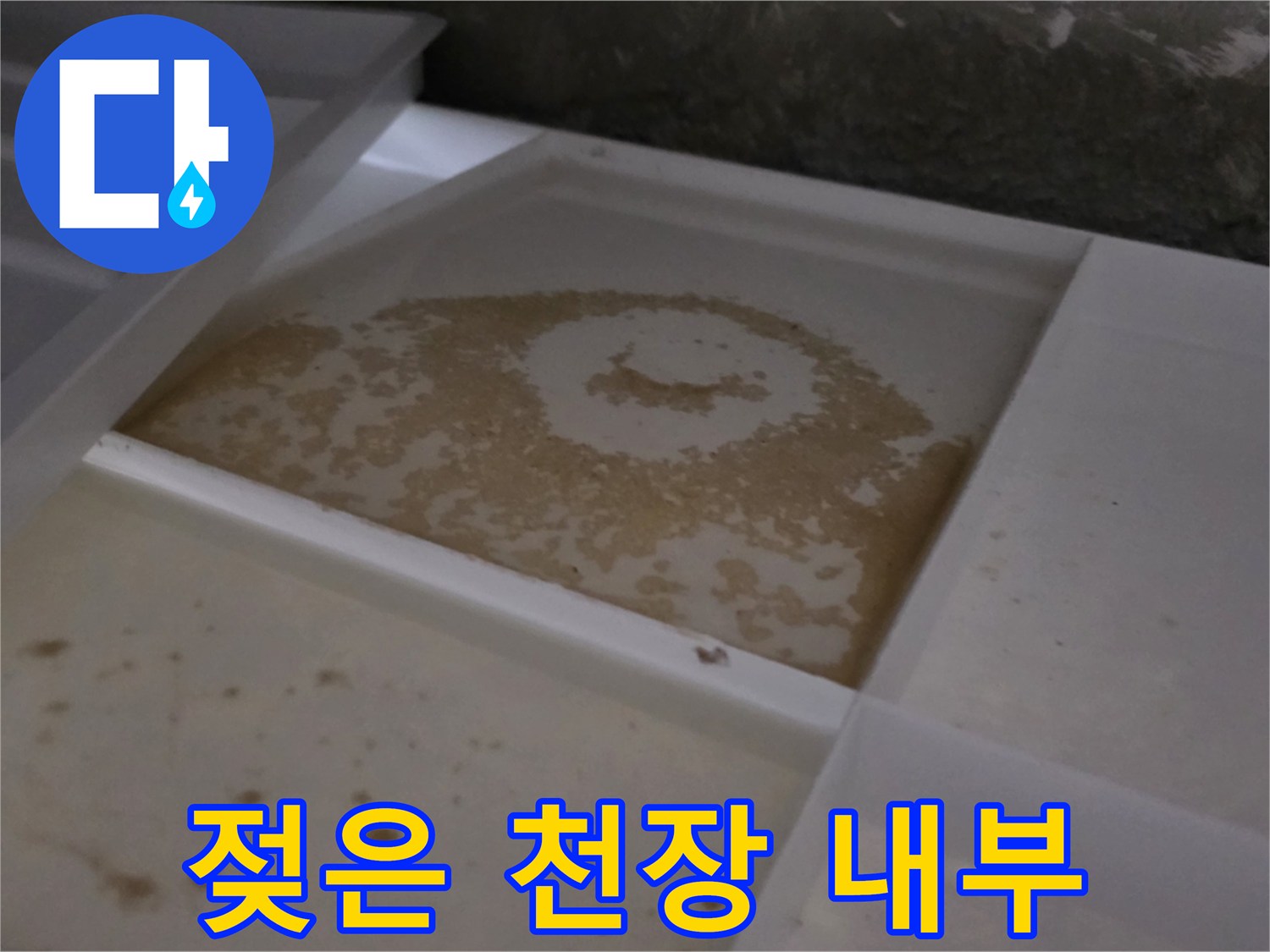 물기가-스며든-화장실-천장-바닥면