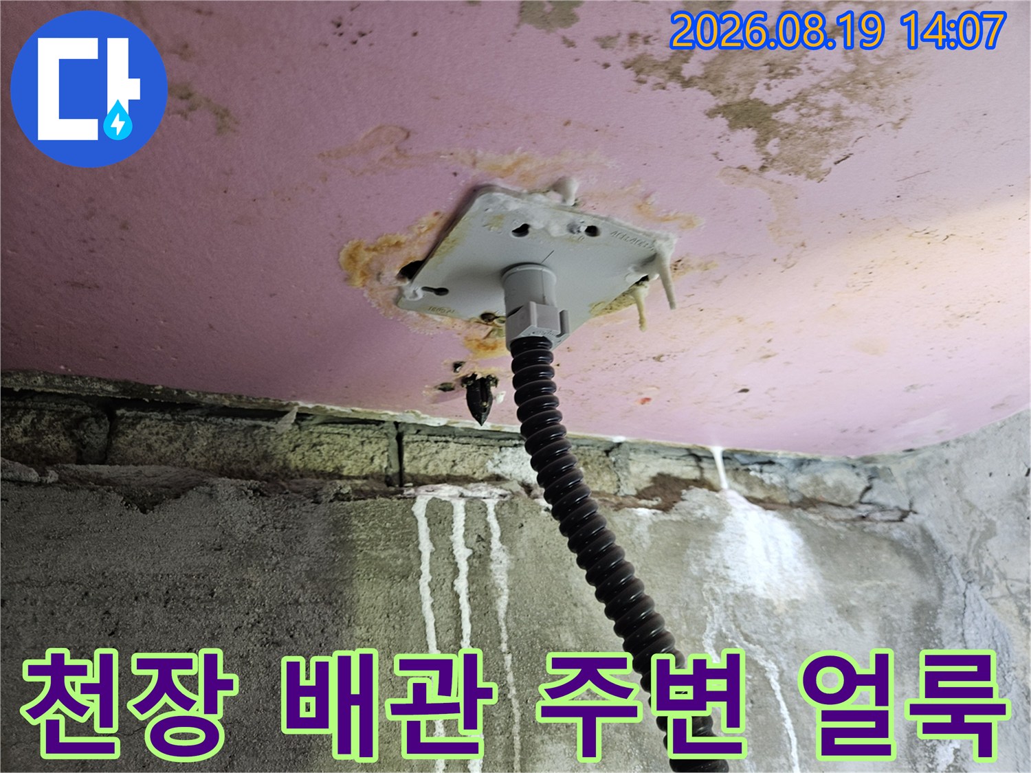 천장 배관 주위로 퍼진 물자국과 곰팡이 흔적