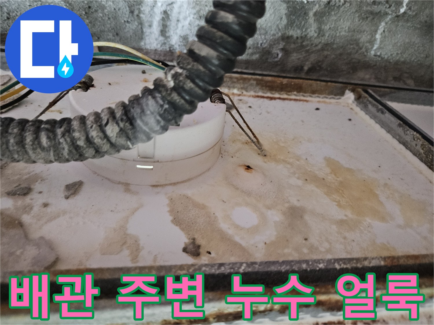 천장 배관 주위의 물때와 젖은 흔적을 담은 사진