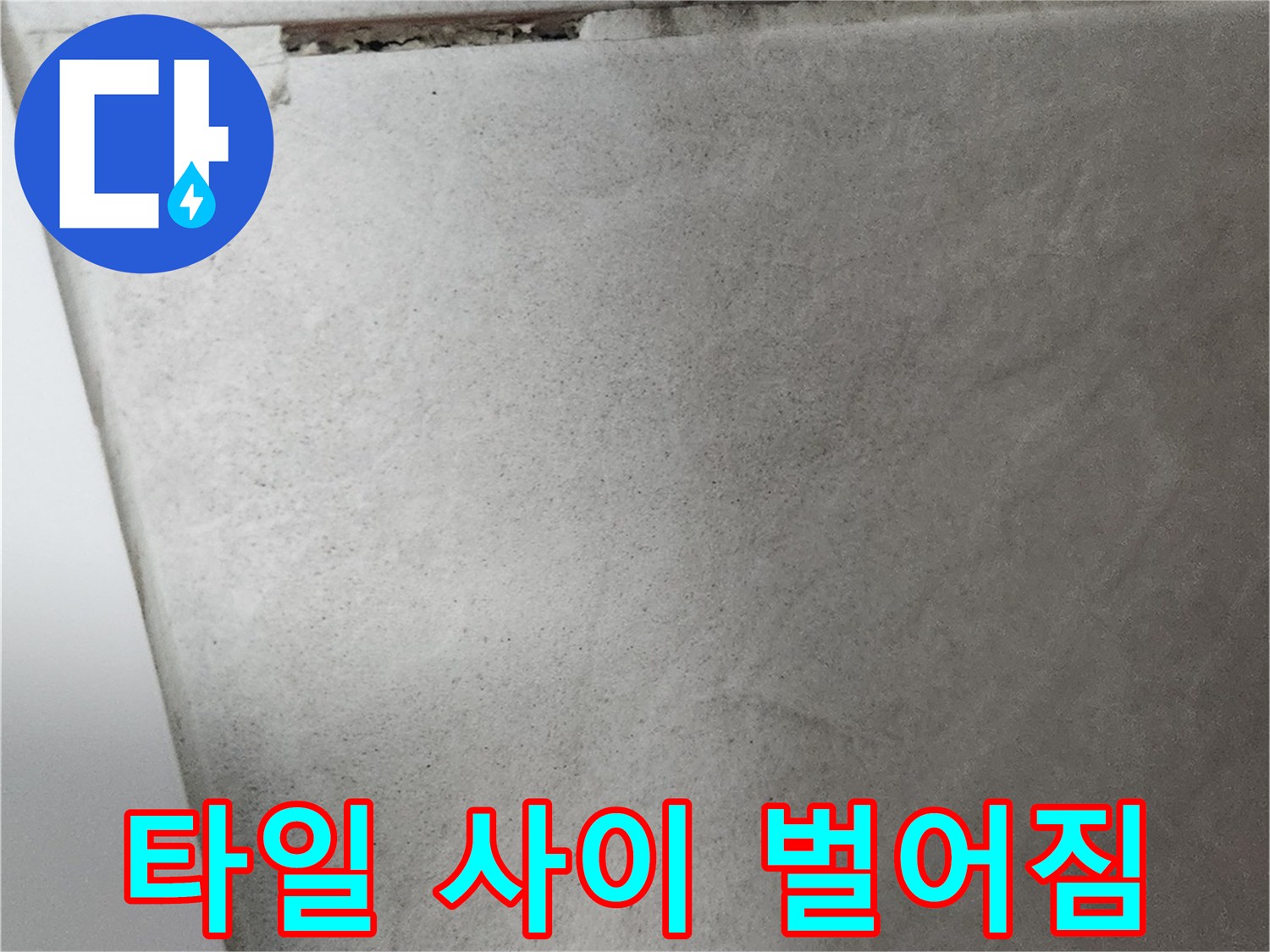벌어진 틈새로 인한 누수 위험 구간
