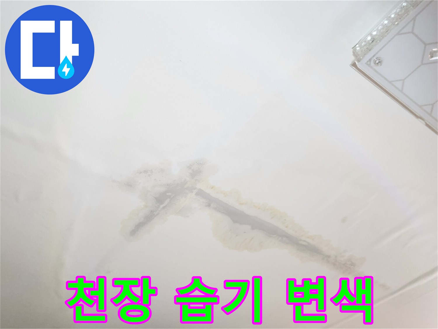 천장 벽면의 젖은 자국-물샘 현상 확인