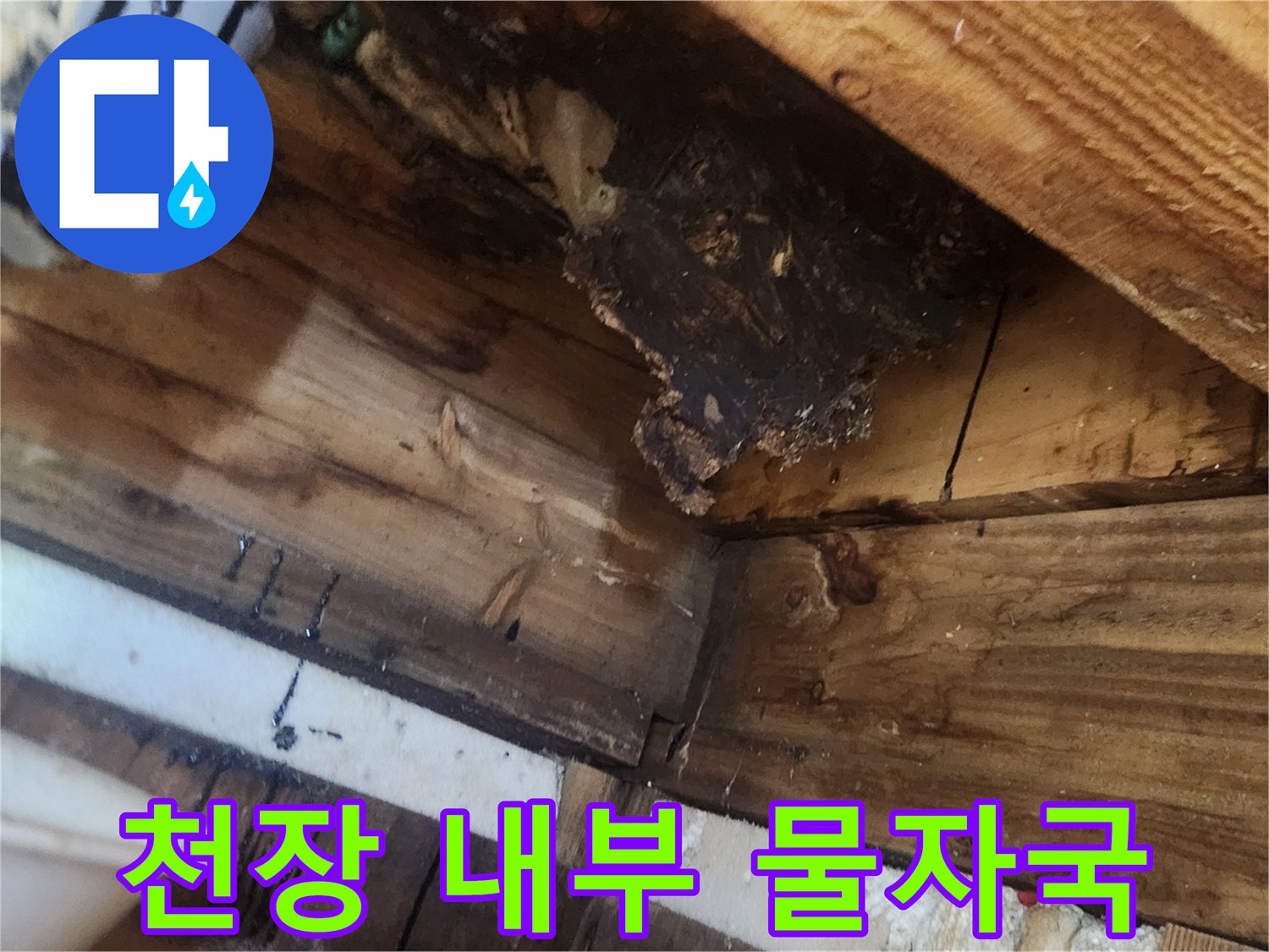 목조-구조재에-남아있는-과거의-누수-흔적