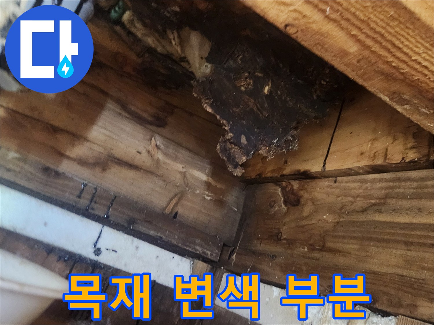 천장-내부-목재-변색-및-건조-상태