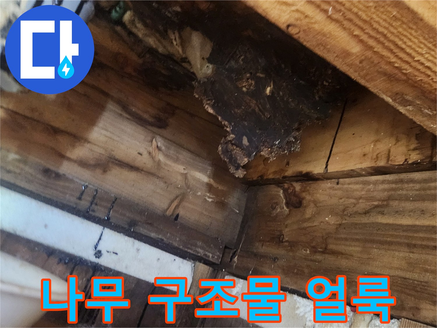 천장-목재-부위의-습기-침투-흔적