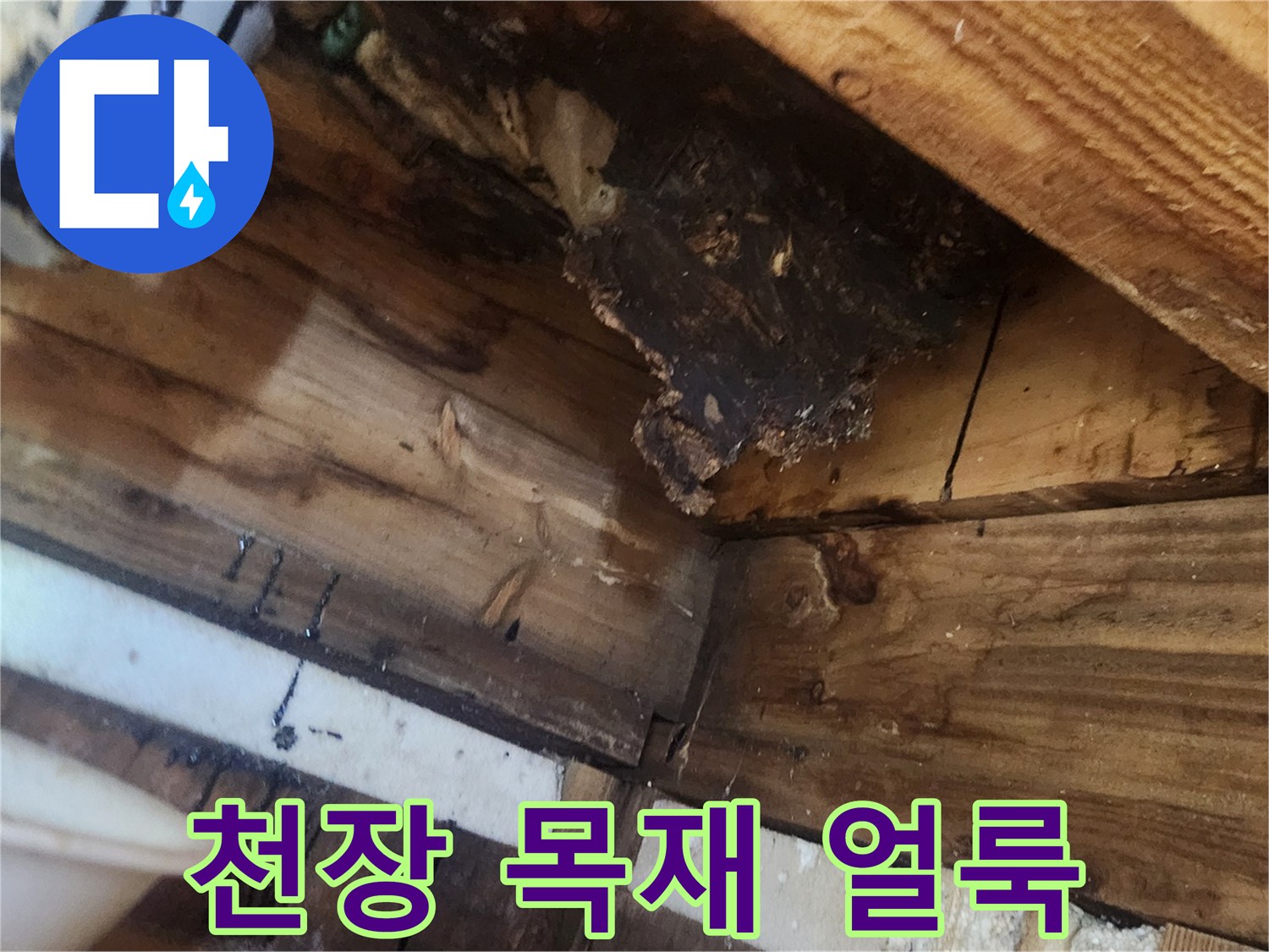 천장-목재-프레임의-어두운-누수-흔적