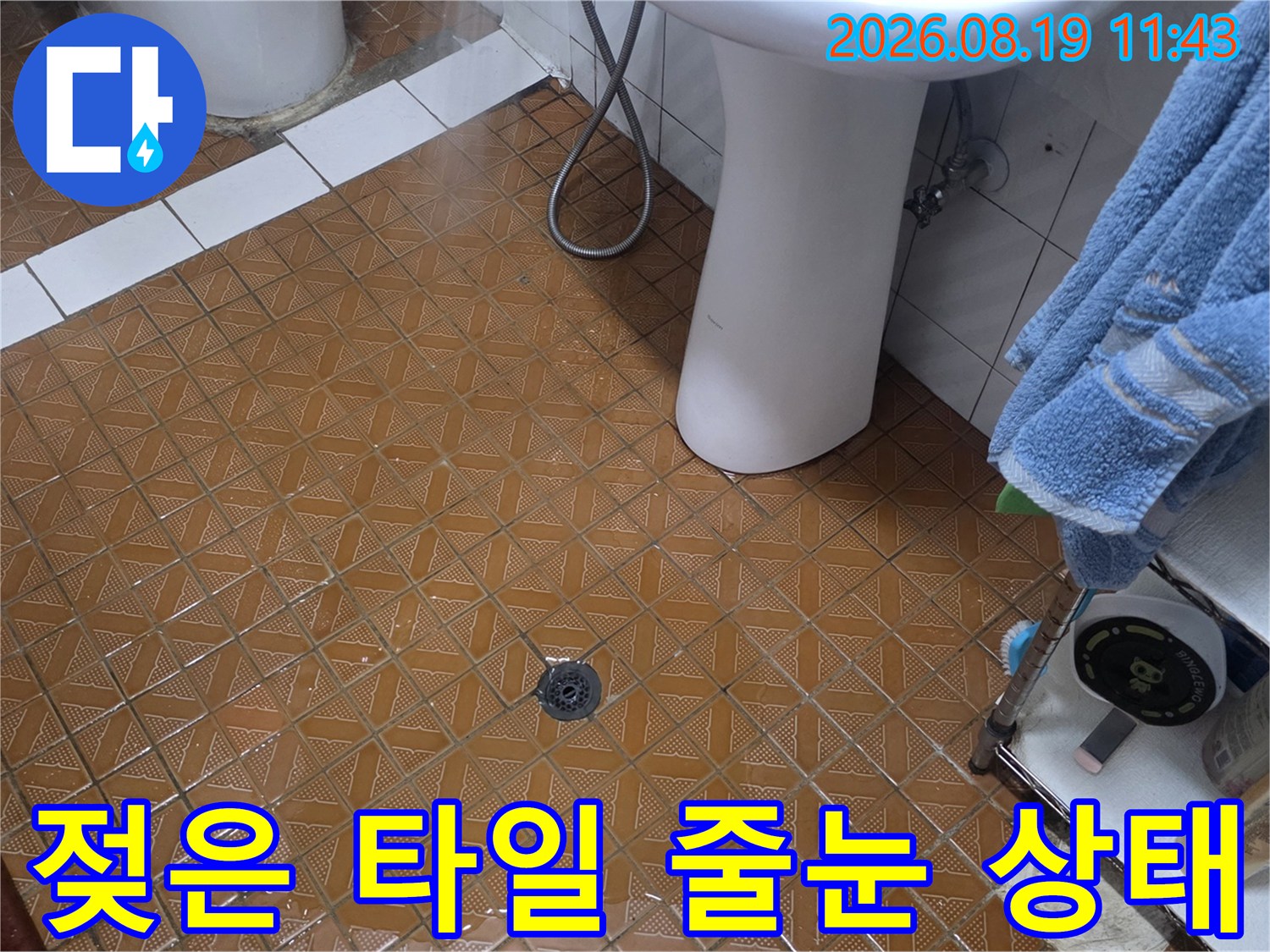 갈색 패턴 타일 사이의 습한 줄눈 부위