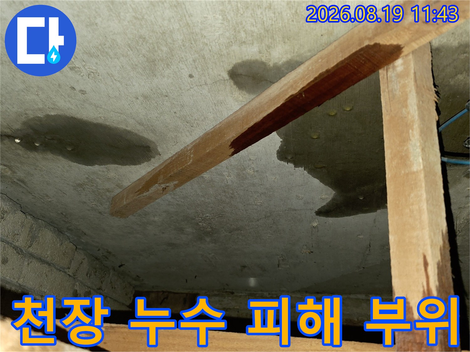 욕실 천장 콘크리트의 넓은 물자국과 습기