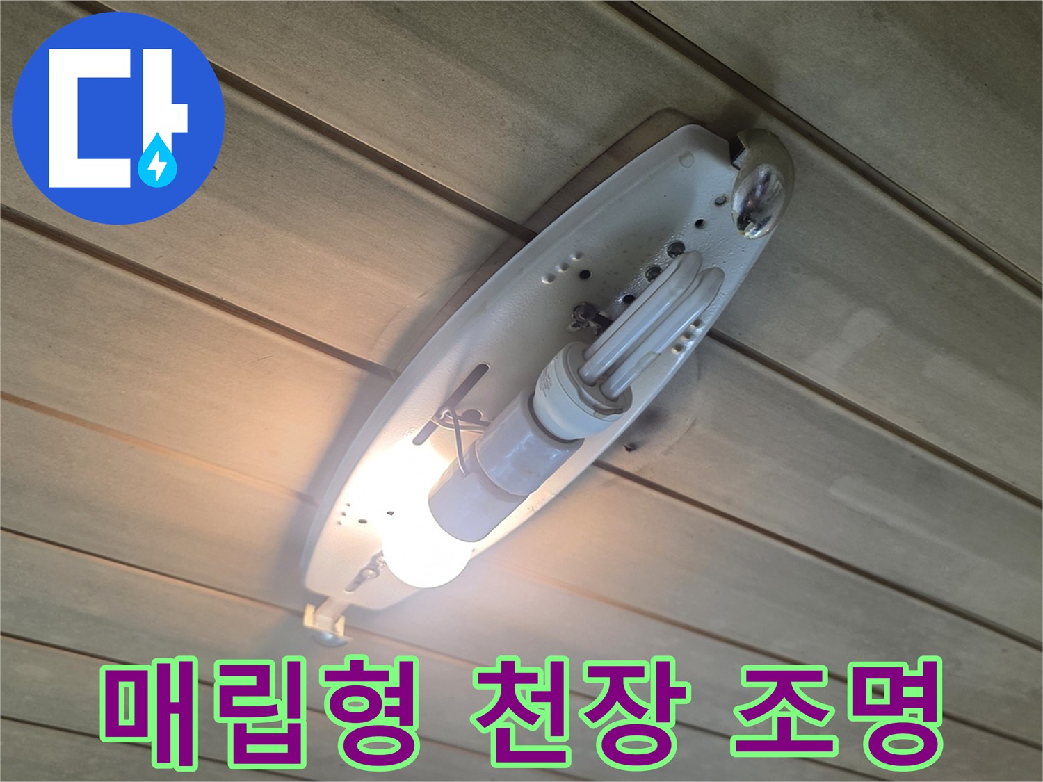 화장실 매립등 주변의 점검 상황