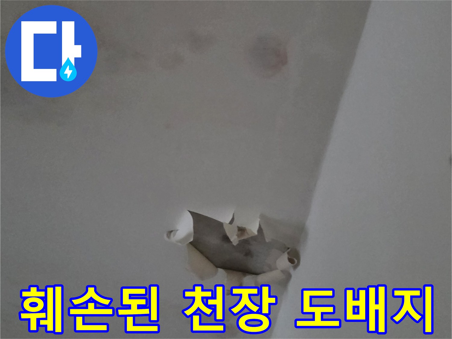 누수로 인해 찢어지고 얼룩진 천장 마감재