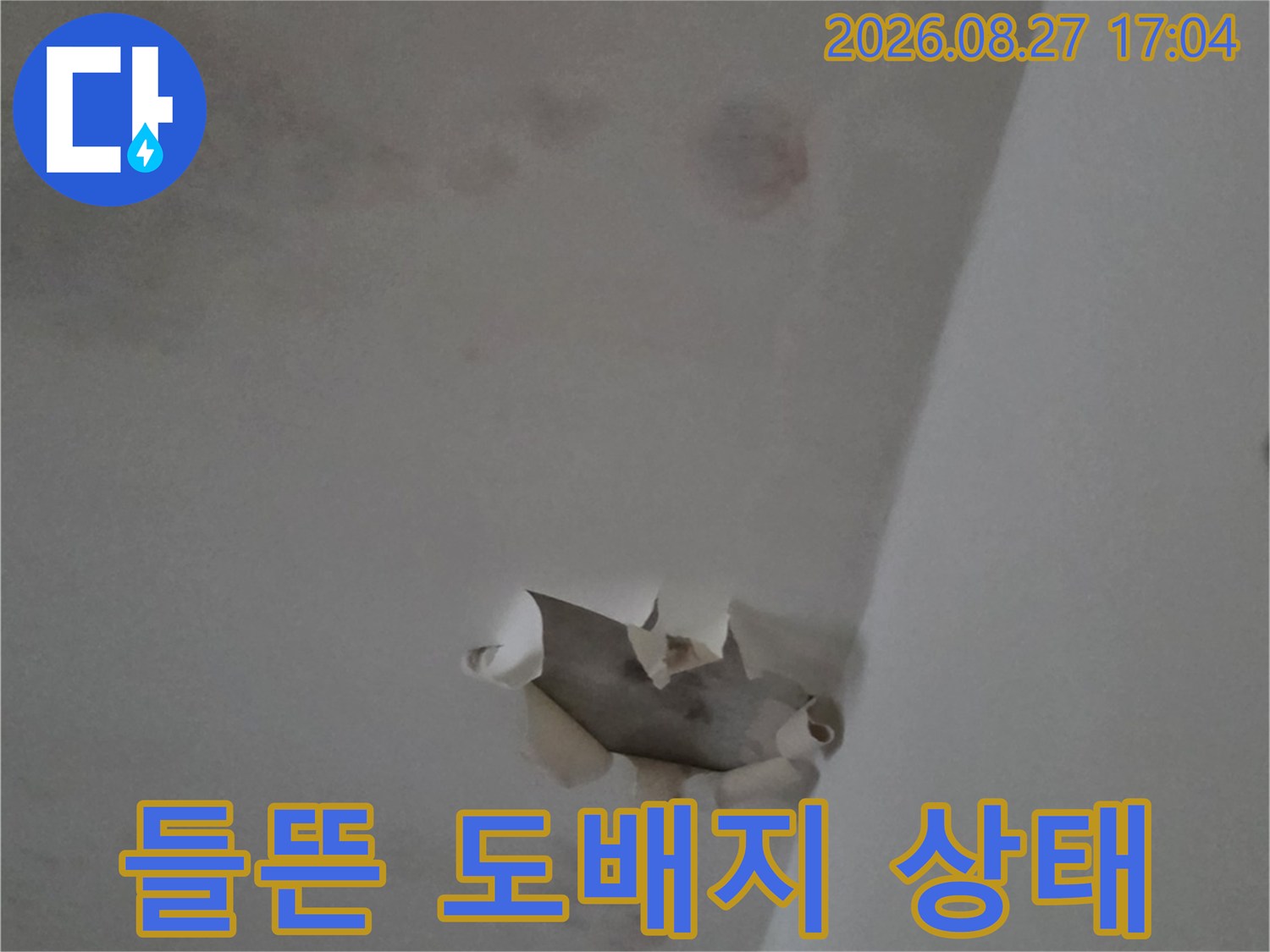 물에 젖어 천장에서-떨어져 나온 도배지 파편입니다.
