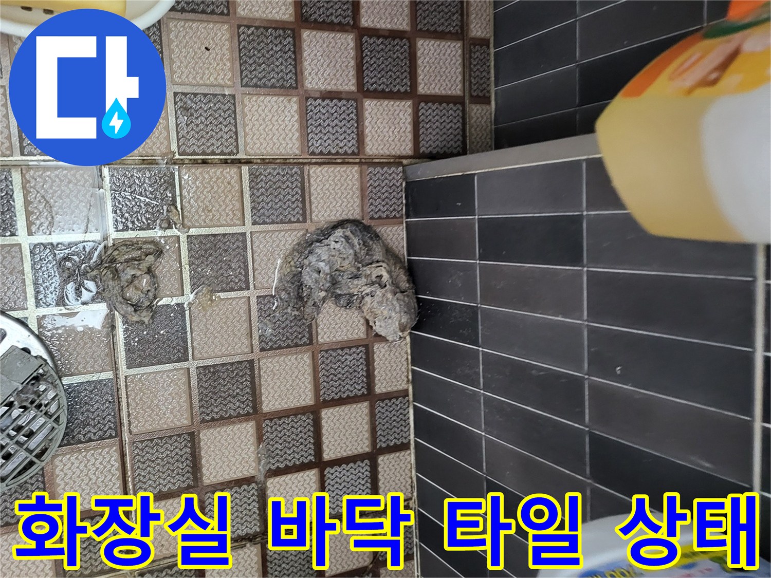 안양동-화장실-타일-사이-물기-확인