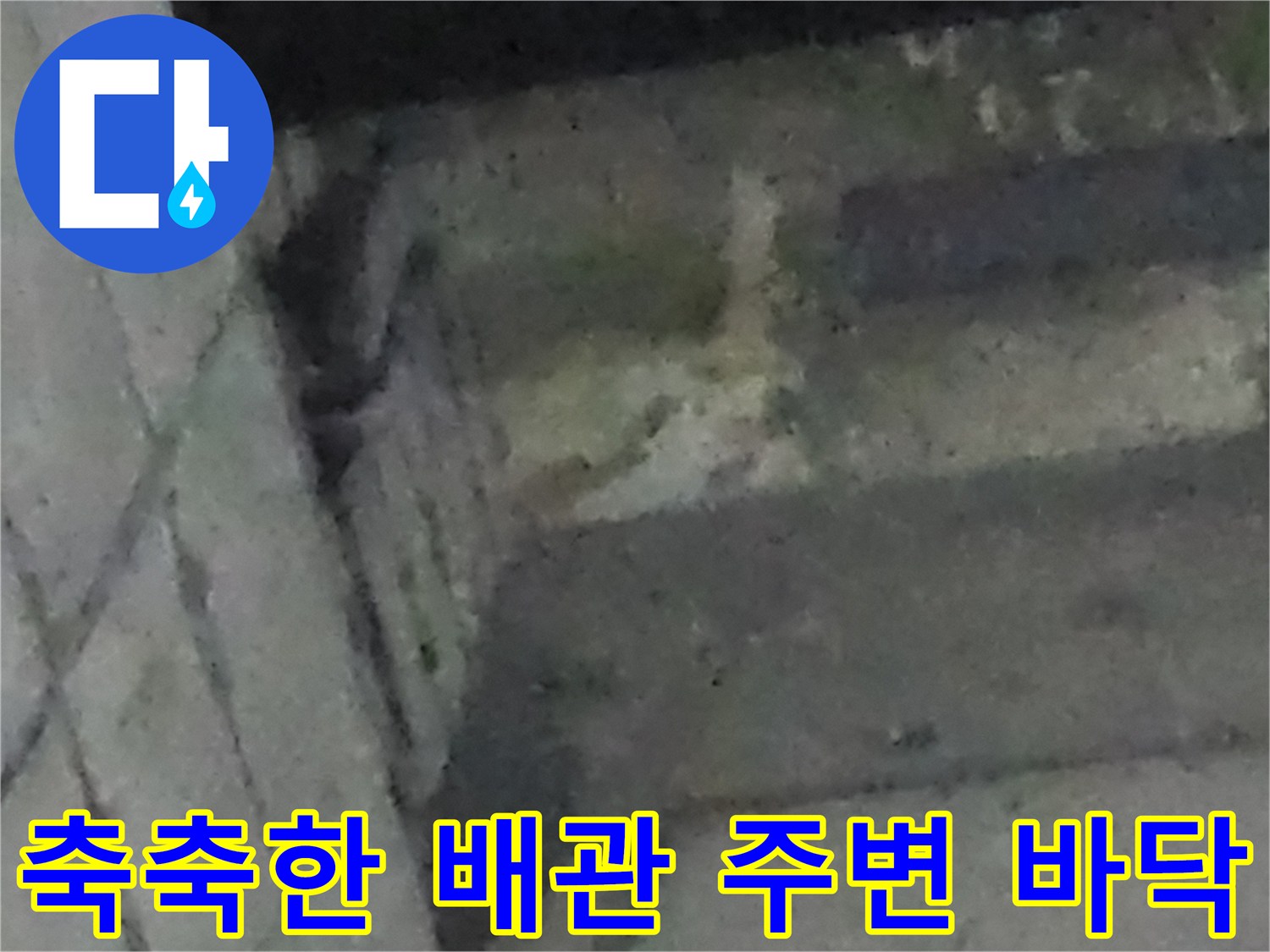 싱크대-하부-배관-주변-젖은-바닥