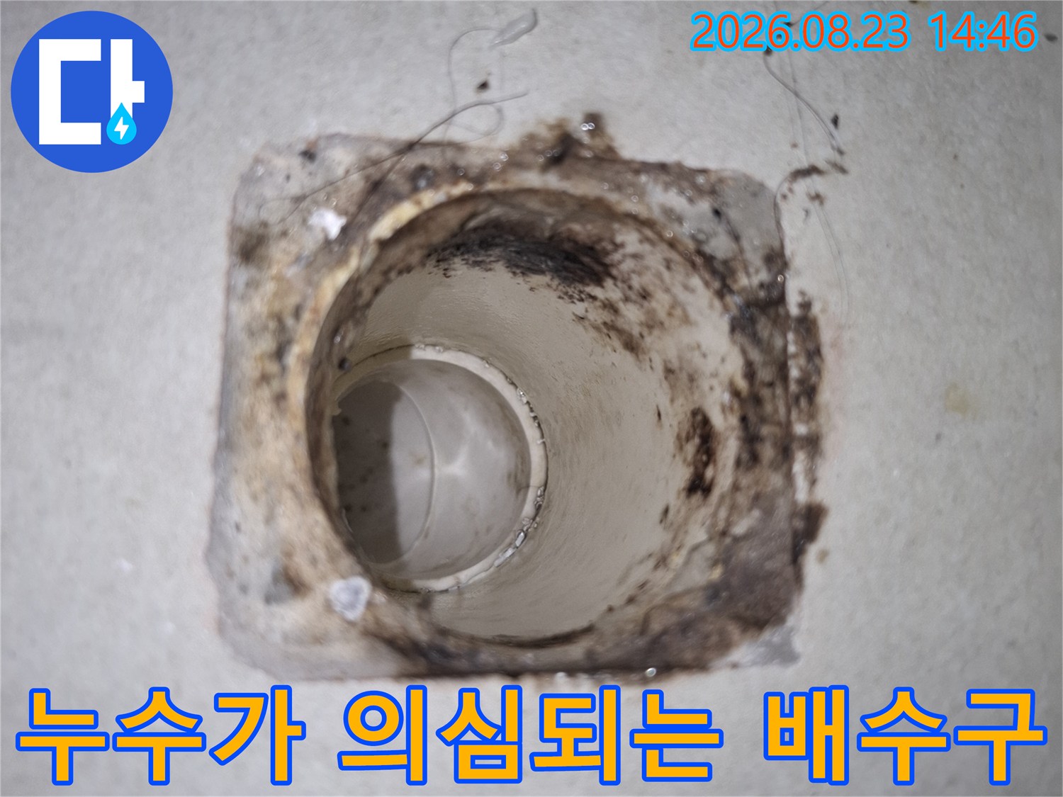 오염물로 가득 찬 배수구 내부의 모습입니다.